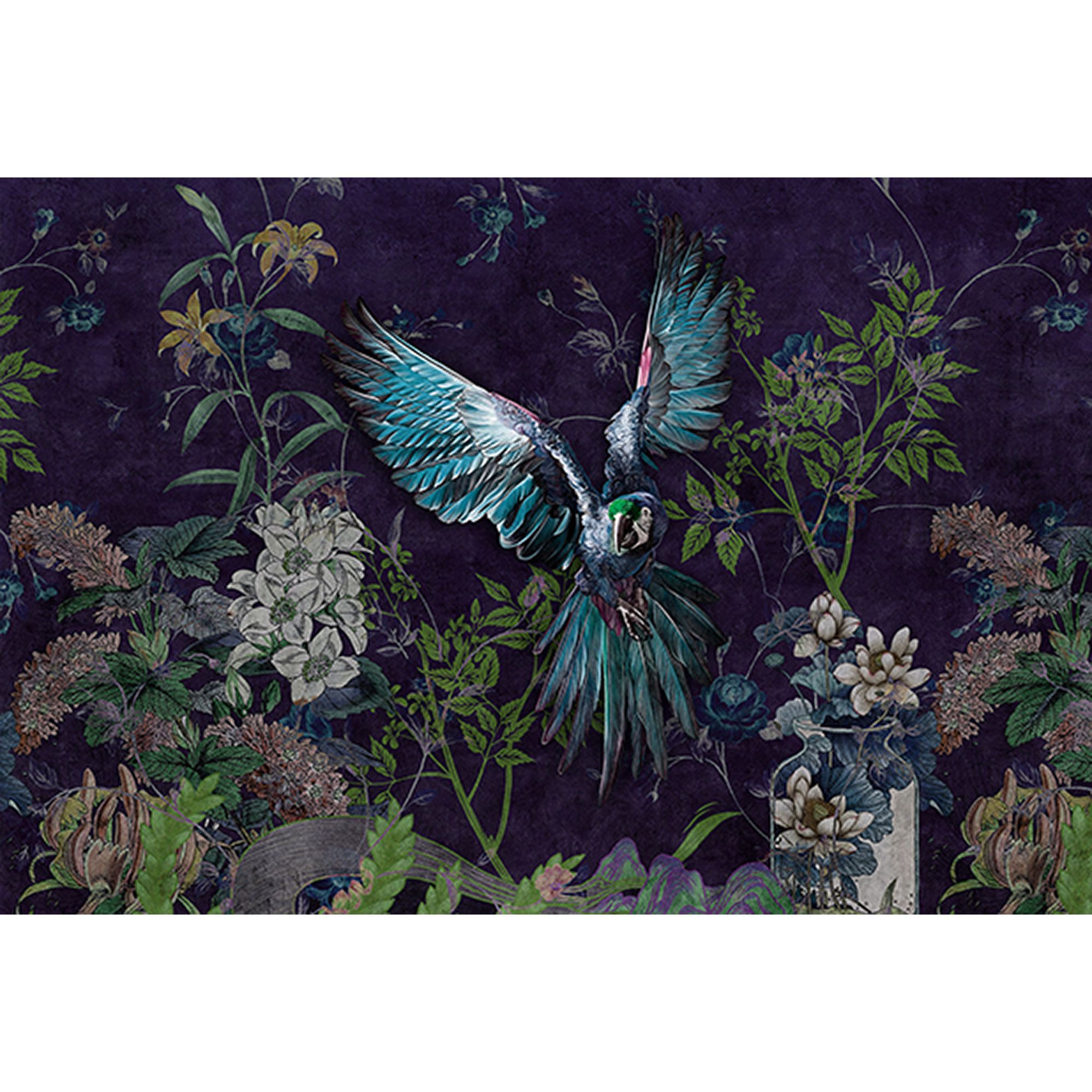 Fototapete Vögel M1-No.61155 | Digitaldruck | Lila | Blau | Dschungel | Regenwald