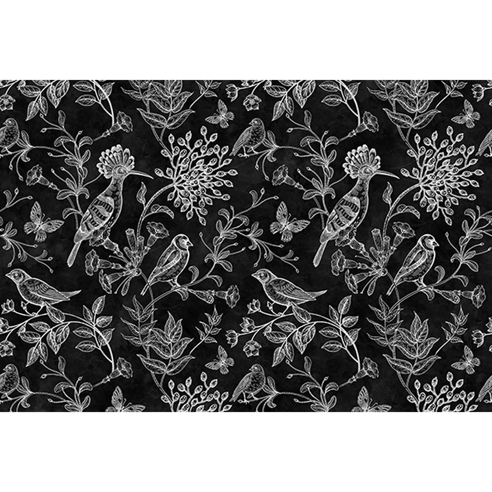 Fototapete Blumen M1-No.60525 | Digitaldruck | Weiß | Schwarz | Schwarz-Weiß | Vögel