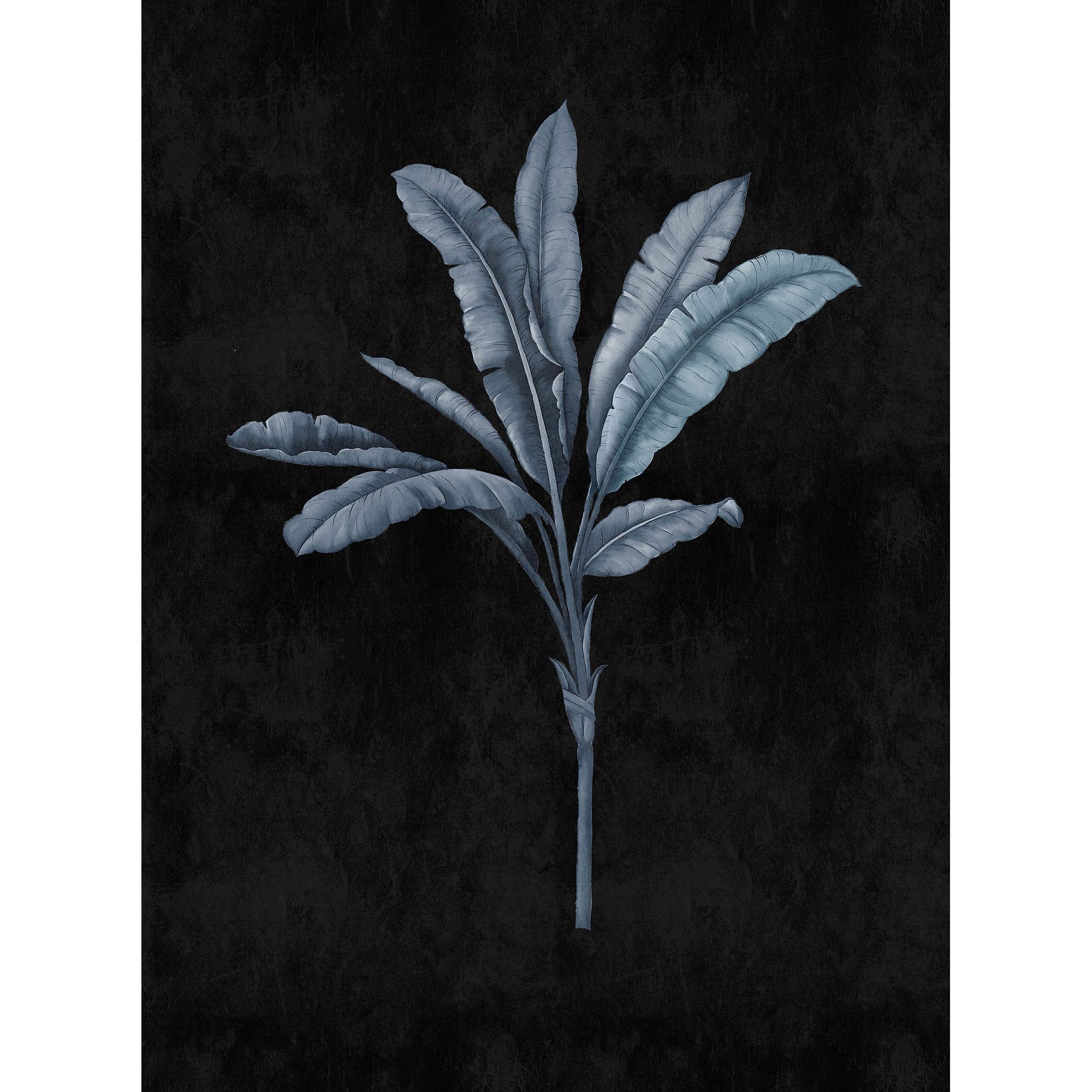 Tadessi Fototapete Palmen M1-No.61306 Digitaldruck Tapete Schwarz Blau - Dschungel Modern