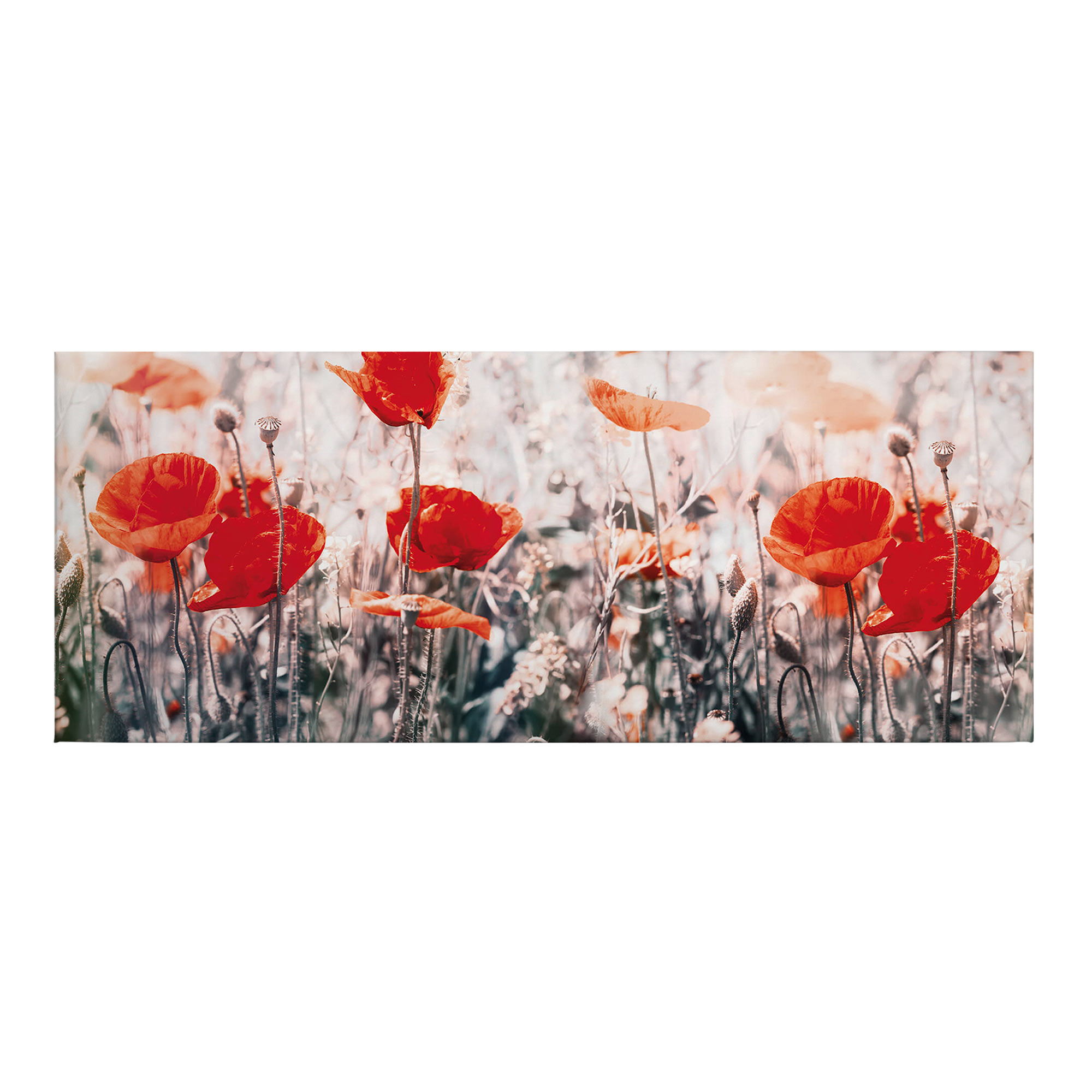 Leinwandbild Blumen Floral M1-No.50462 | Wandbild 40 x 100 cm | Rot Grau Keilrahmen Natur