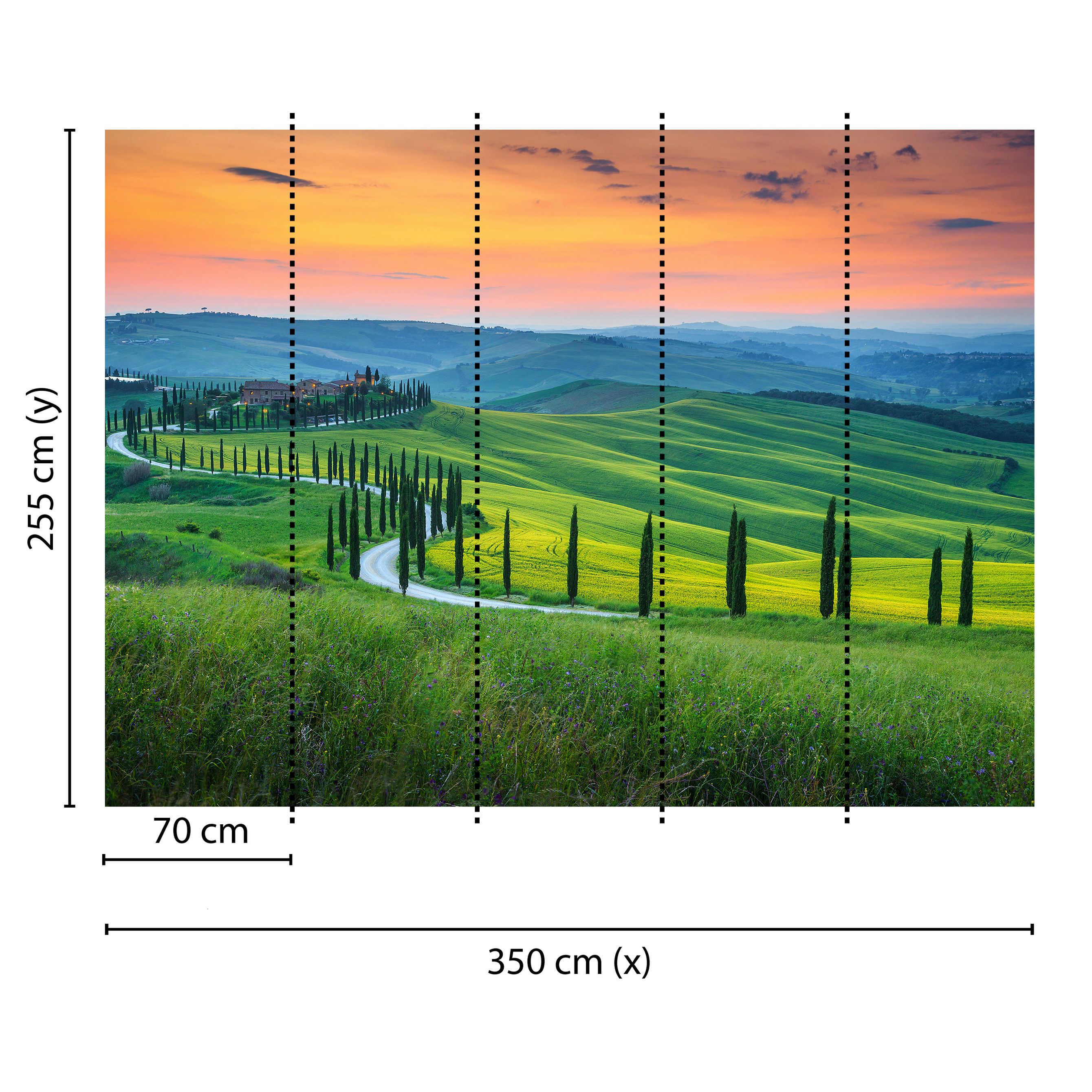 Tadessi Fototapete Mediterran M1-No.60504 Digitaldruck Tapete Grün Orange - Toskana Landschaft