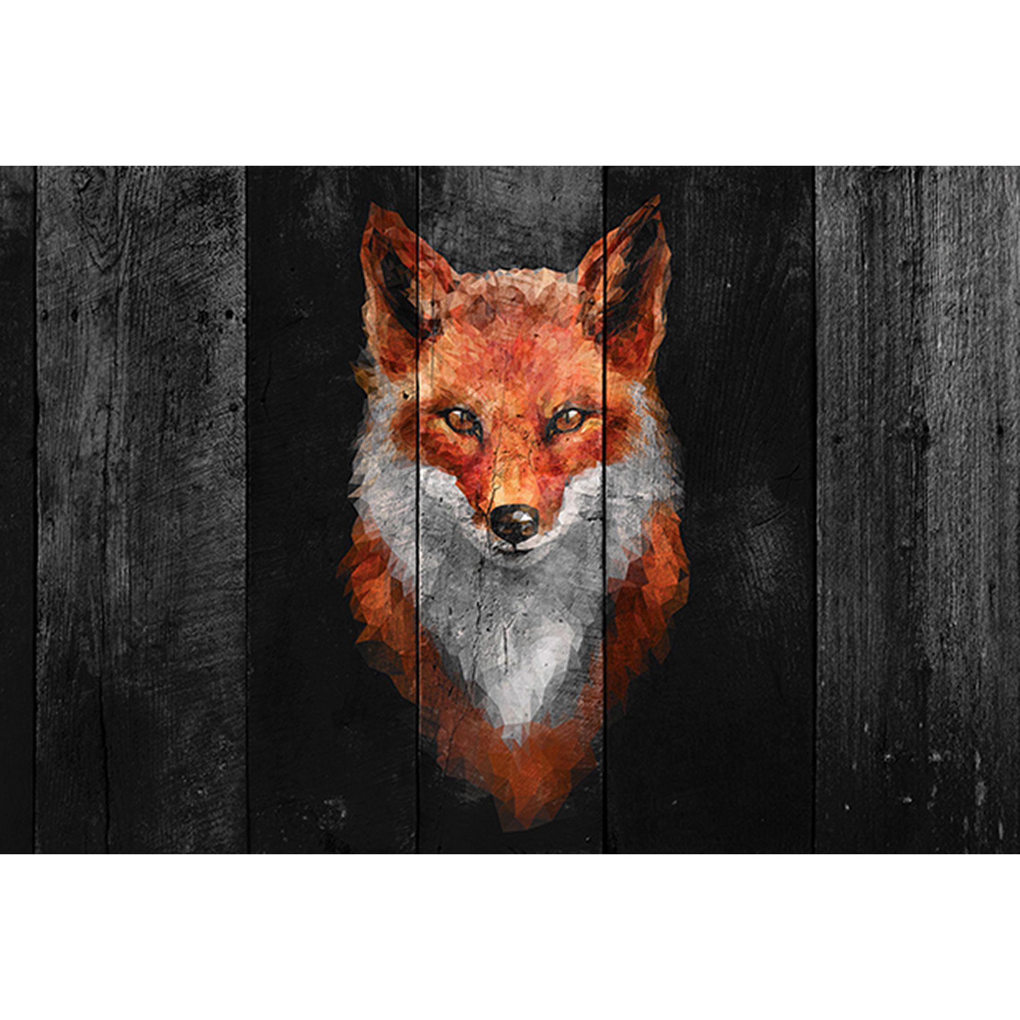 Tadessi Fototapete Tiere M1-No.60264 Digitaldruck Tapete Orange Weiß - Holzoptik Natur