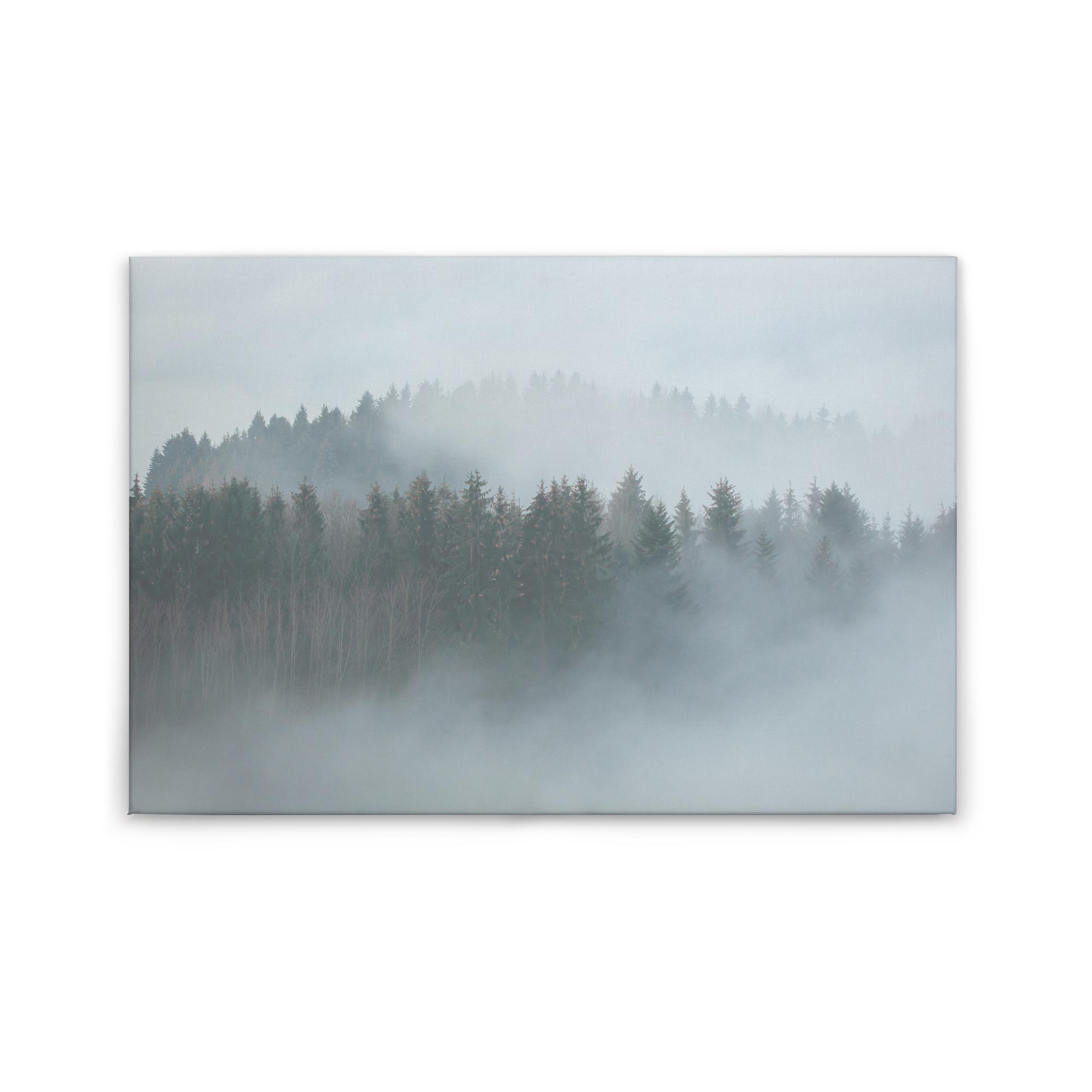 Tadessi Leinwandbild Wald Nebel Natur - 60 x 90 cm - M1-No.50039 - Keilrahmen in Grau Weiß