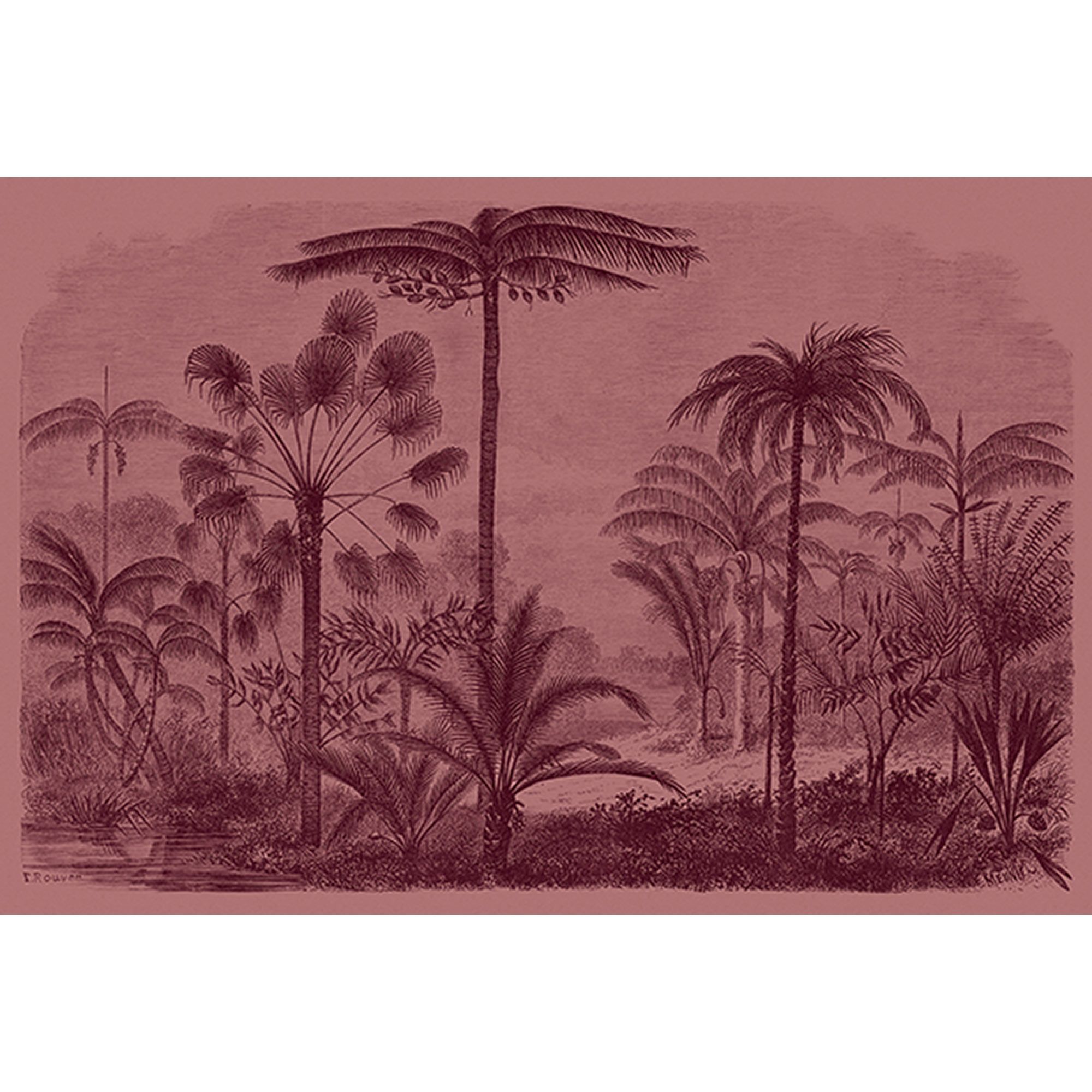 Fototapete Dschungel M1-No.60862 | Digitaldruck | Rosa | Lila | Vintage