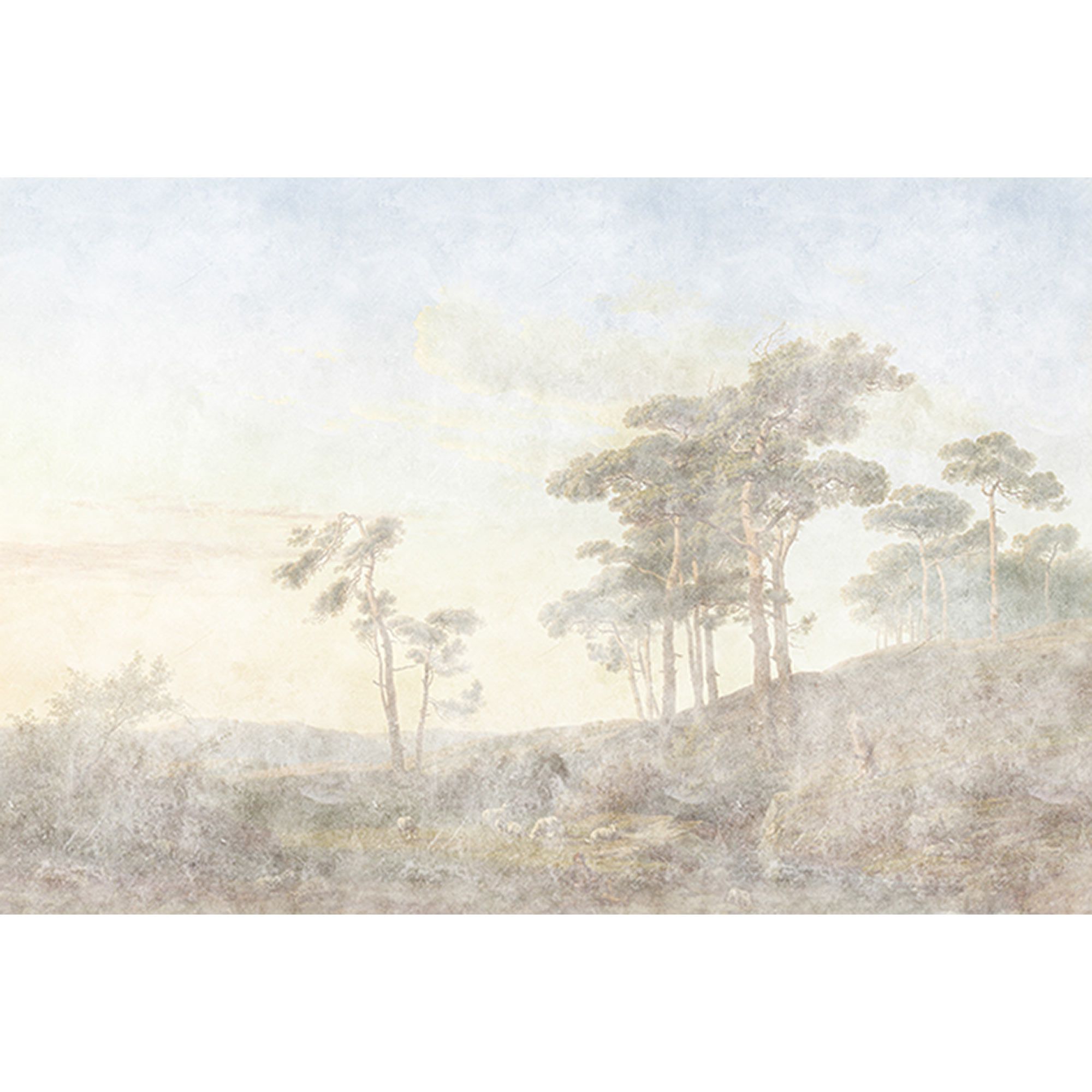 Fototapete Wald M1-No.61171 | Digitaldruck | Beige | Grau | Natur | Landschaft