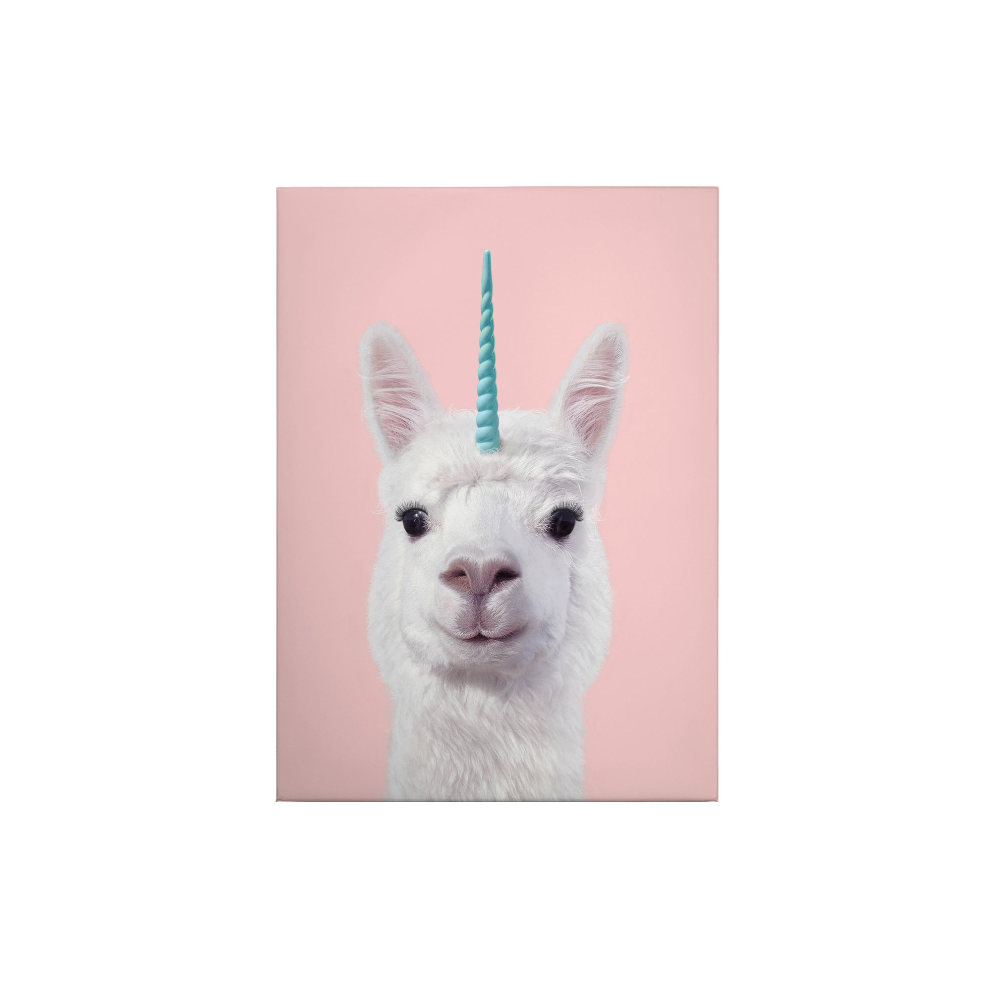 Leinwandbild Tiere M1-No.50419 | Wandbild 70 x 50 cm | Rosa Weiß Keilrahmen Fantasy Alpaka Einhorn