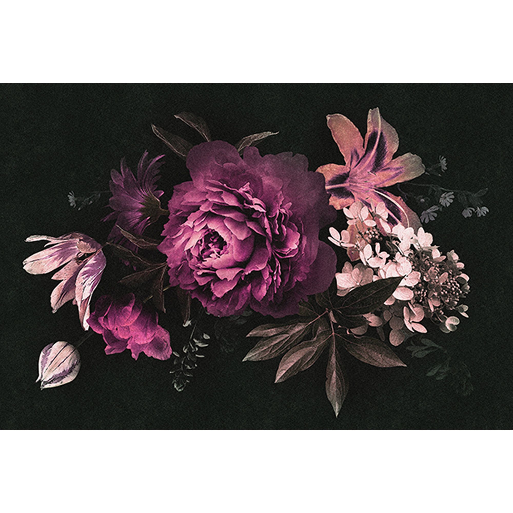 Fototapete Blumen M1-No.60796 | Digitaldruck | Lila | Schwarz | Rosen