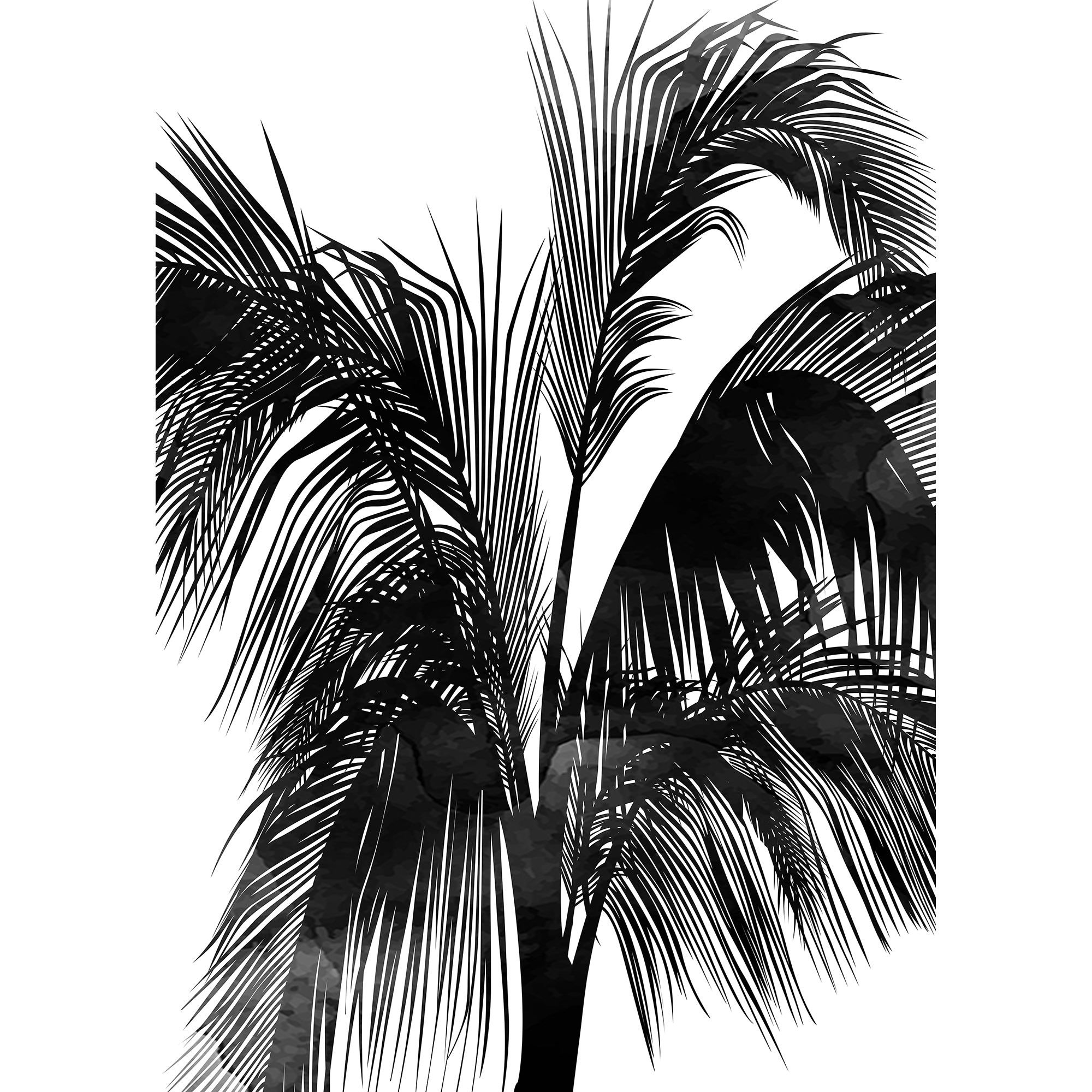 Fototapete Palmen M1-No.61049 | Digitaldruck | Schwarz | Weiß | Schwarz-Weiß