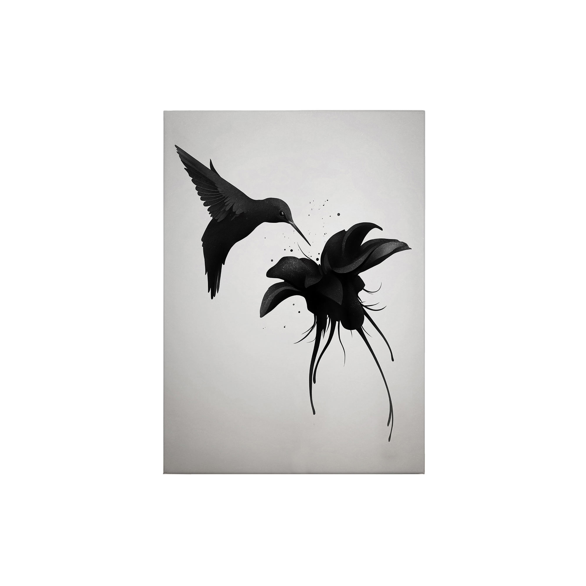 Leinwandbild Kunst M1-No.50414 | Wandbild 70 x 50 cm | Weiß Schwarz Keilrahmen Tiere Vögel
