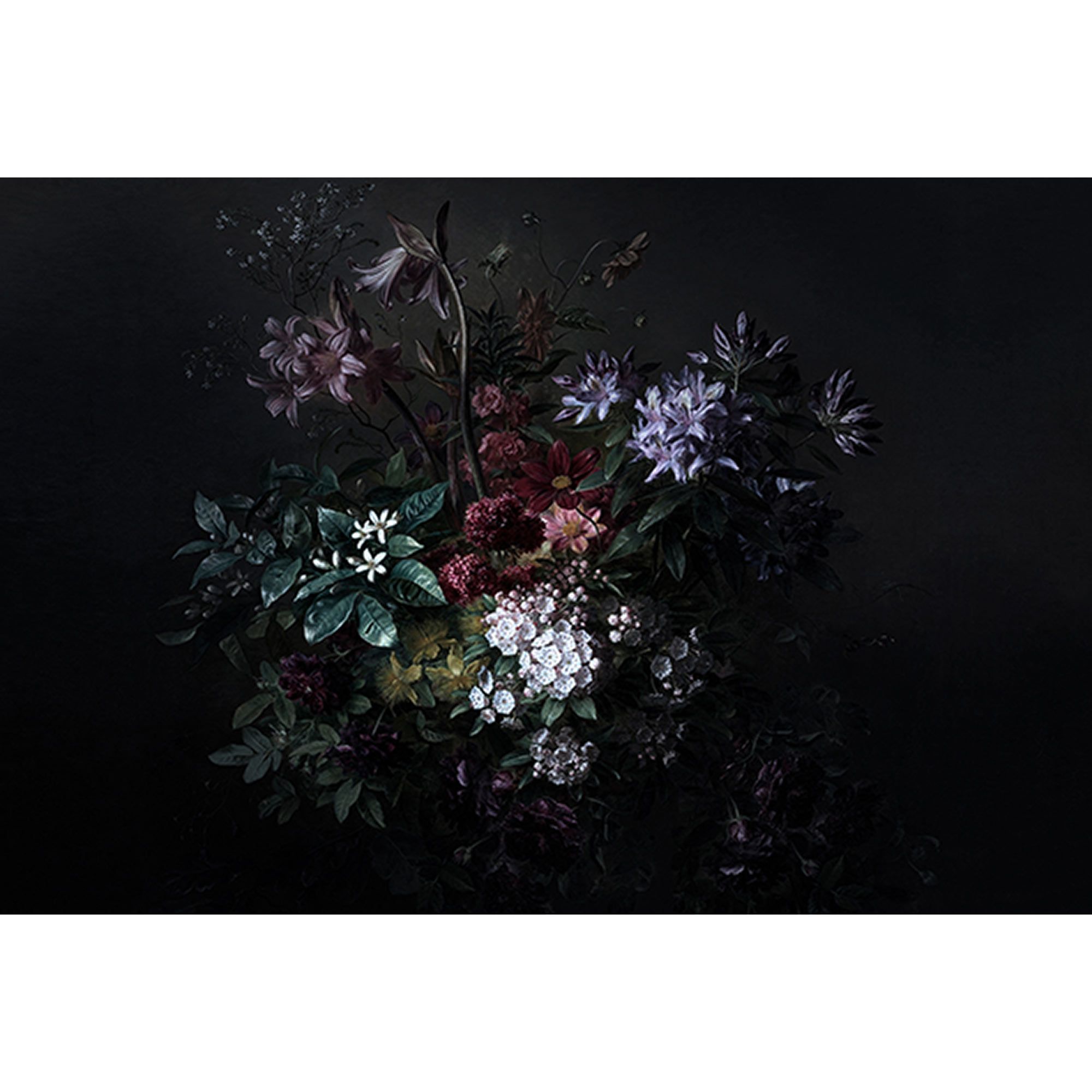 Fototapete Blumen M1-No.60540 | Digitaldruck | Weiß | Schwarz | Floral