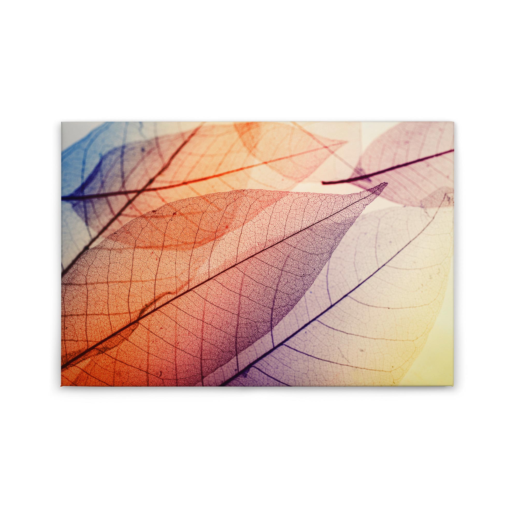 Leinwandbild Blätter M1-No.50022 | Wandbild 60 x 90 cm | Natur Orange Gelb Keilrahmen