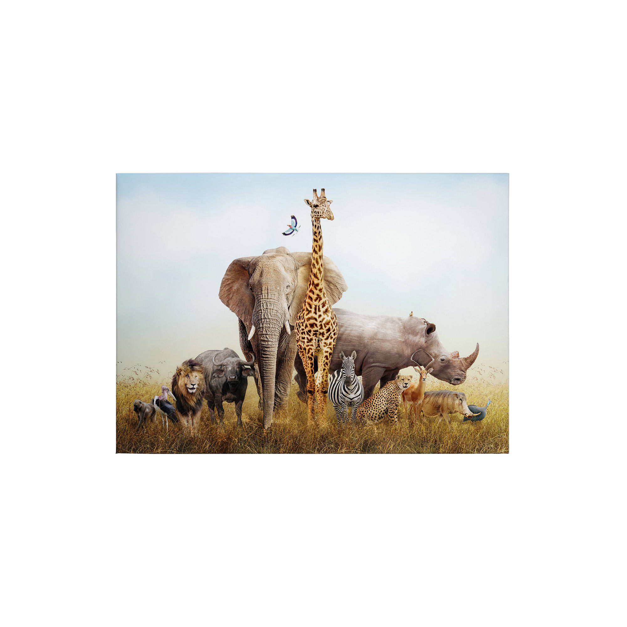 Tadessi Leinwandbild Afrika - 50 x 70 cm - M1-No.50352 - Keilrahmen in Blau Grün