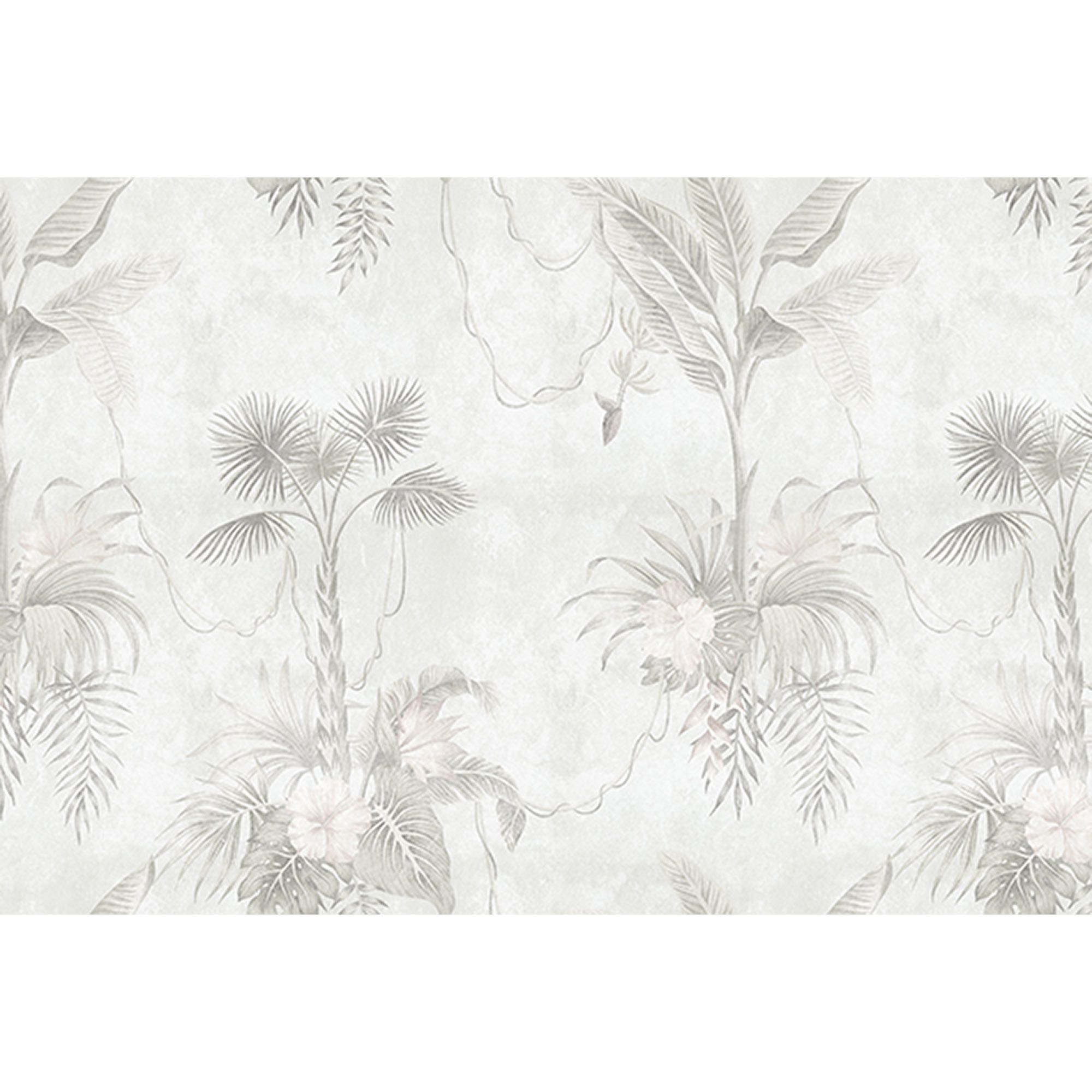 Tadessi Fototapete Palmen M1-No.61178 Digitaldruck Tapete Grau Grün - Natur Dschungel