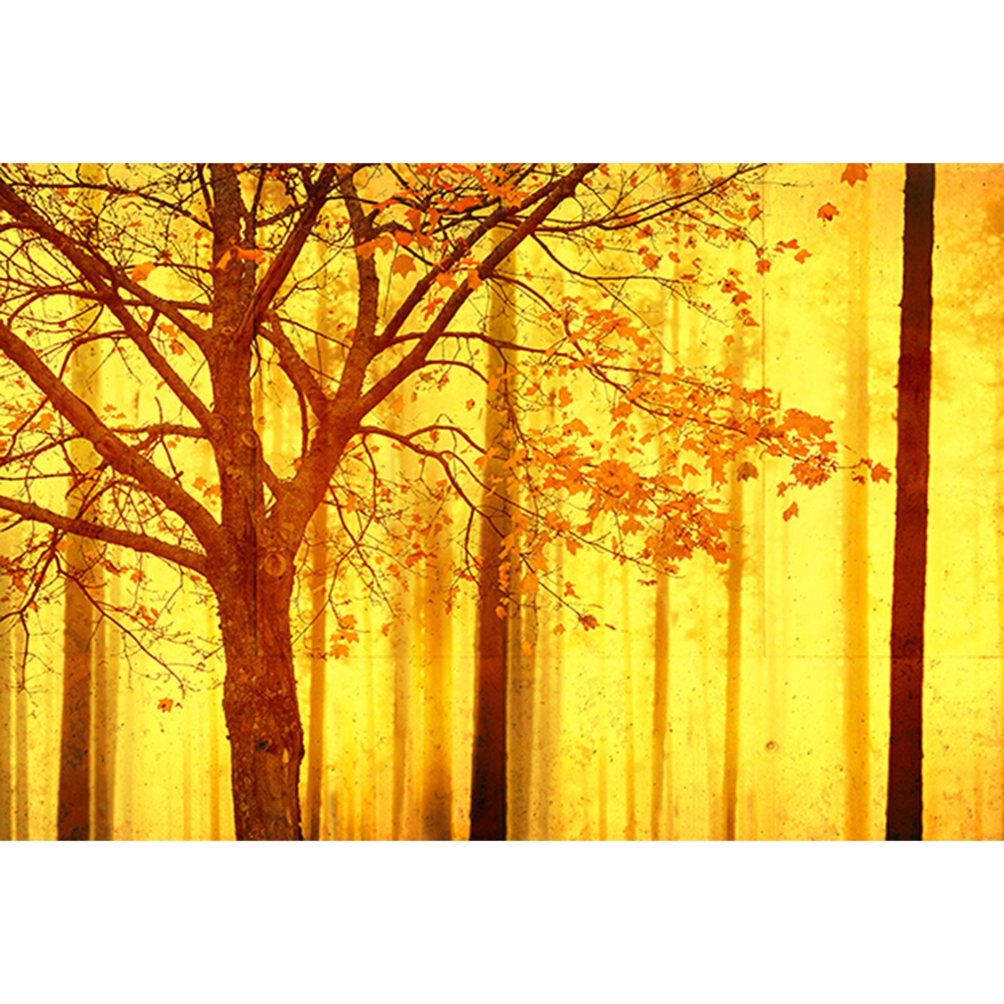 Fototapete Wald M1-No.60109 | Digitaldruck | Orange | Gelb | Natur