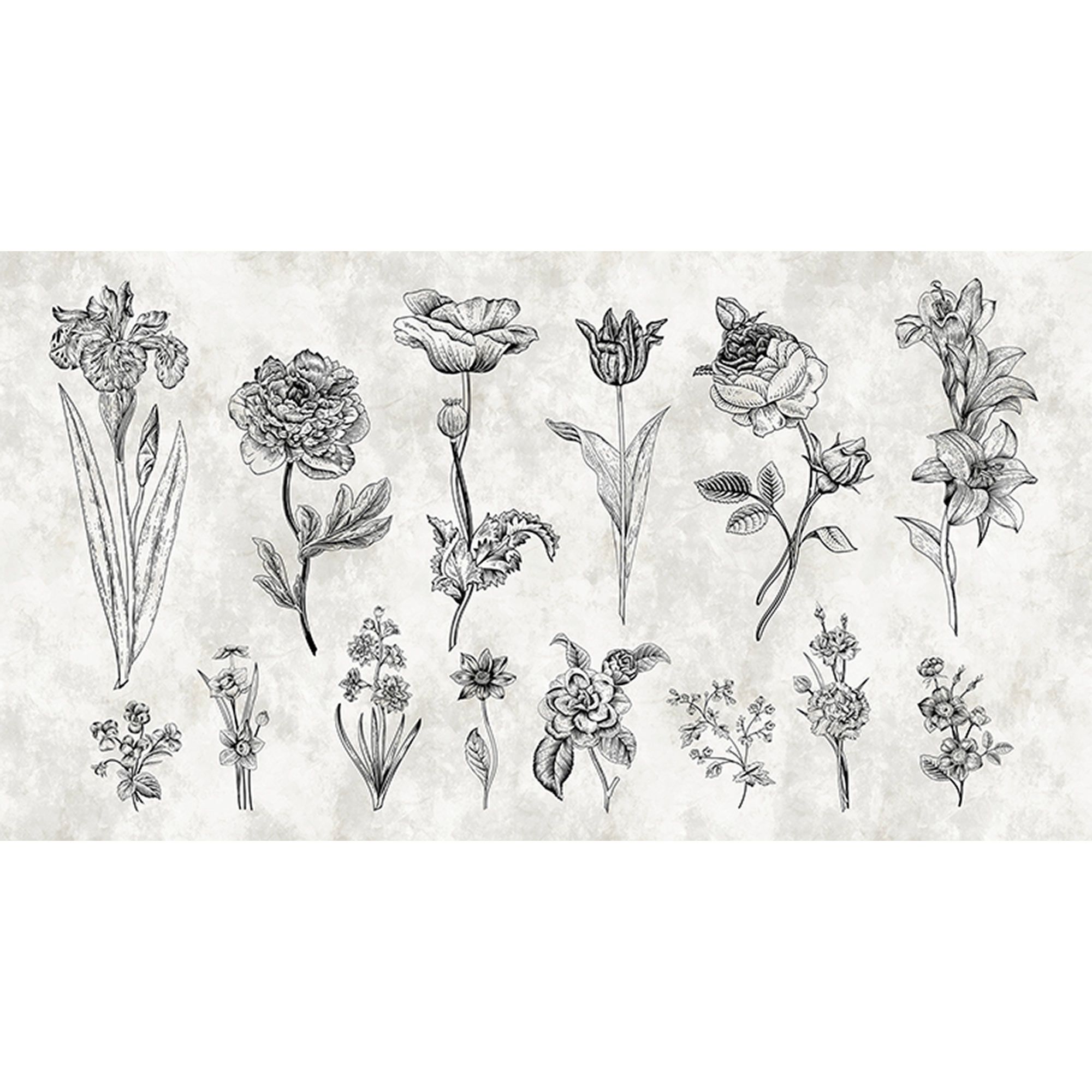 Tadessi Fototapete Blumen M1-No.60681 Digitaldruck Tapete Weiß Schwarz