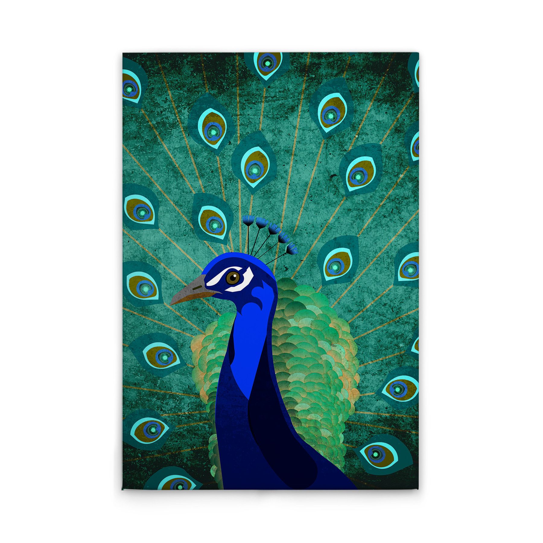 Tadessi Leinwandbild Pfau Gemälde M1-No.50784 - Keilrahmen in Grün Blau - Wandbild 30 x 45 cm