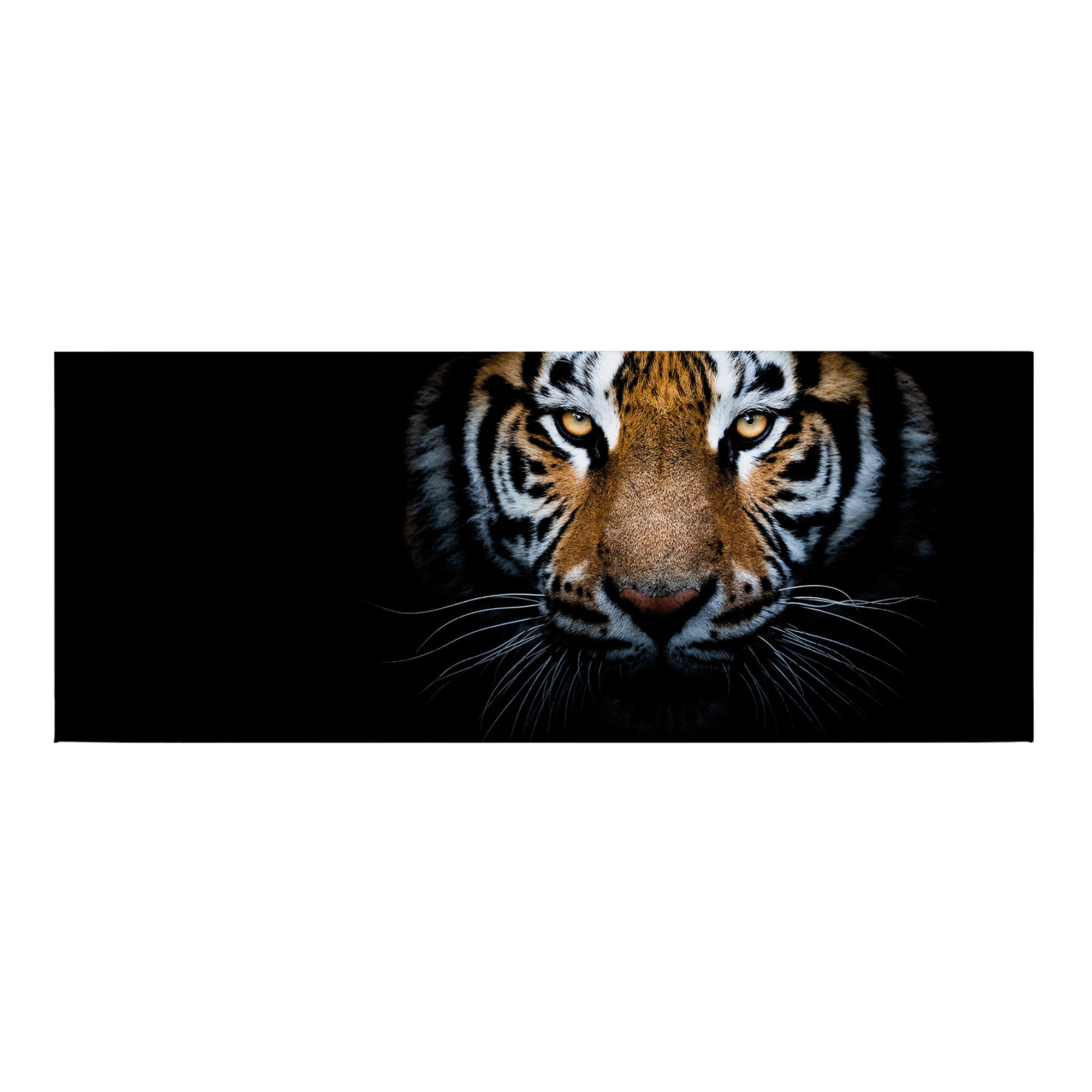 Tadessi Leinwandbild Tiger - 40 x 100 cm - M1-No.50468 - Keilrahmen in Braun Weiß