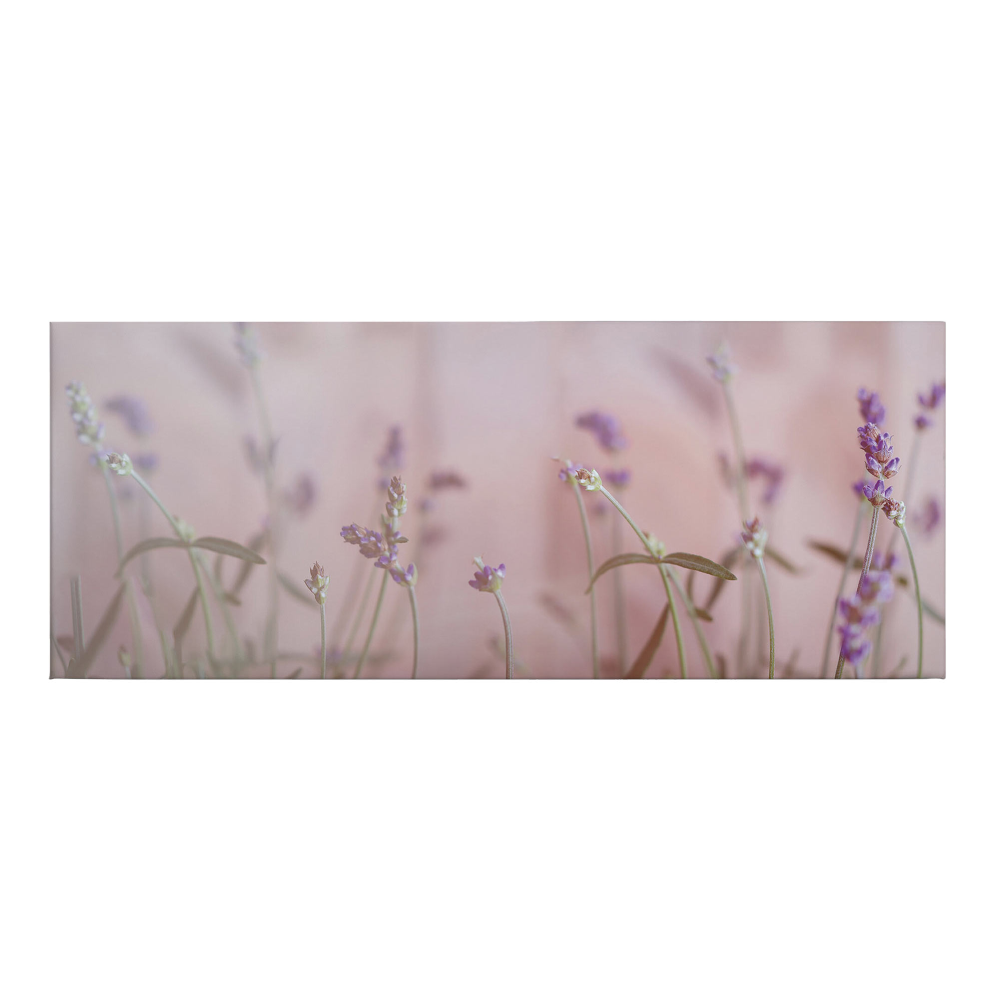 Leinwandbild Blumen Floral M1-No.50463 | Wandbild 40 x 100 cm | Lila Grau Keilrahmen Lavendel