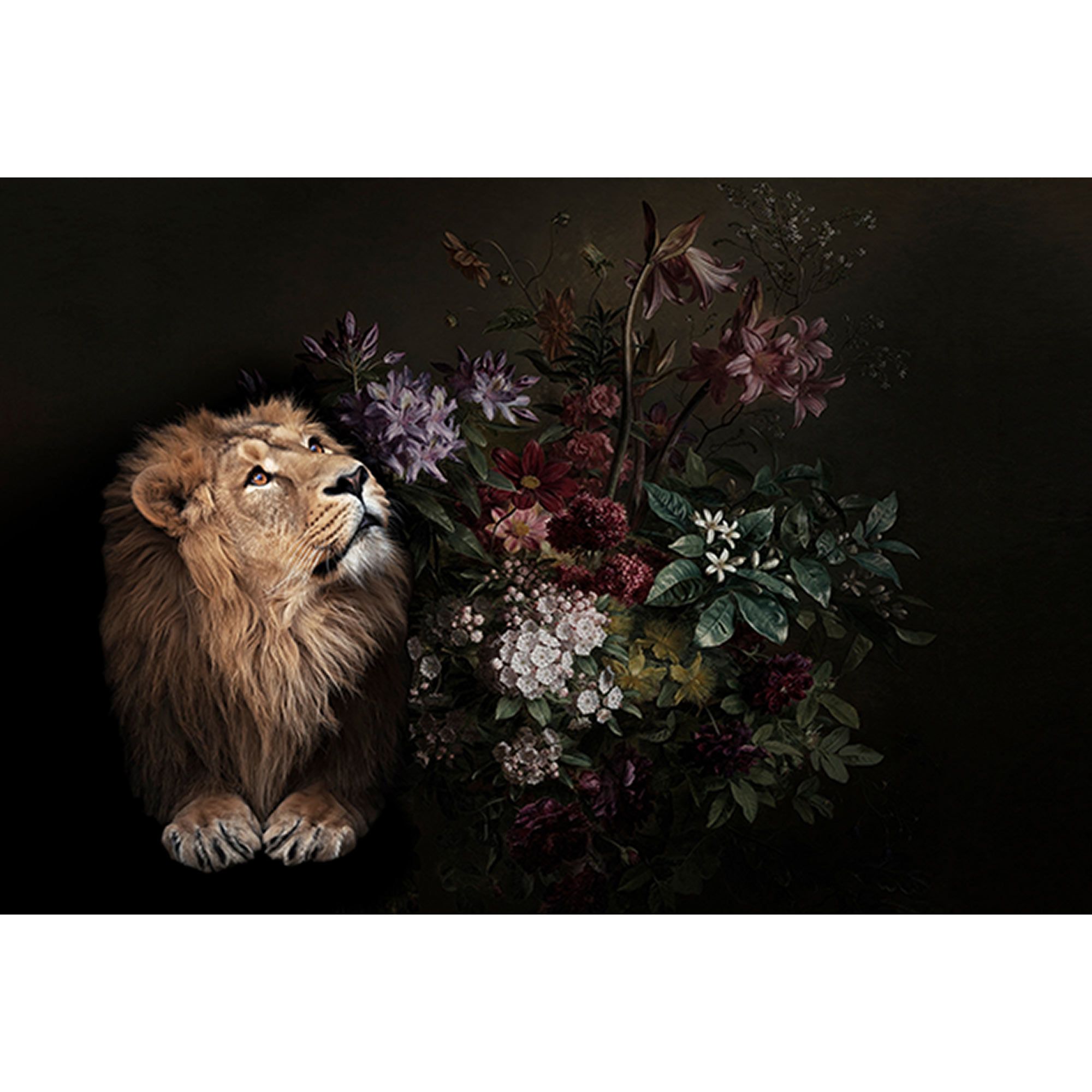 Fototapete Blumen M1-No.60712 | Digitaldruck | Schwarz | Braun | Löwe | Tiere