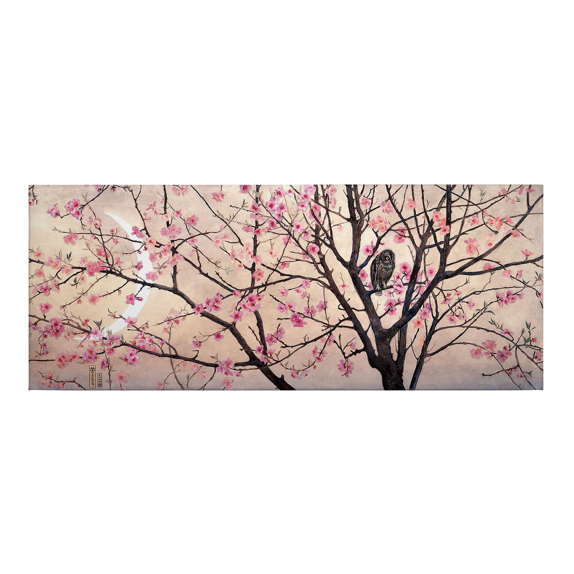 Tadessi Leinwandbild Blumen Floral - 40 x 100 cm - M1-No.50481 - Keilrahmen in Rosa
