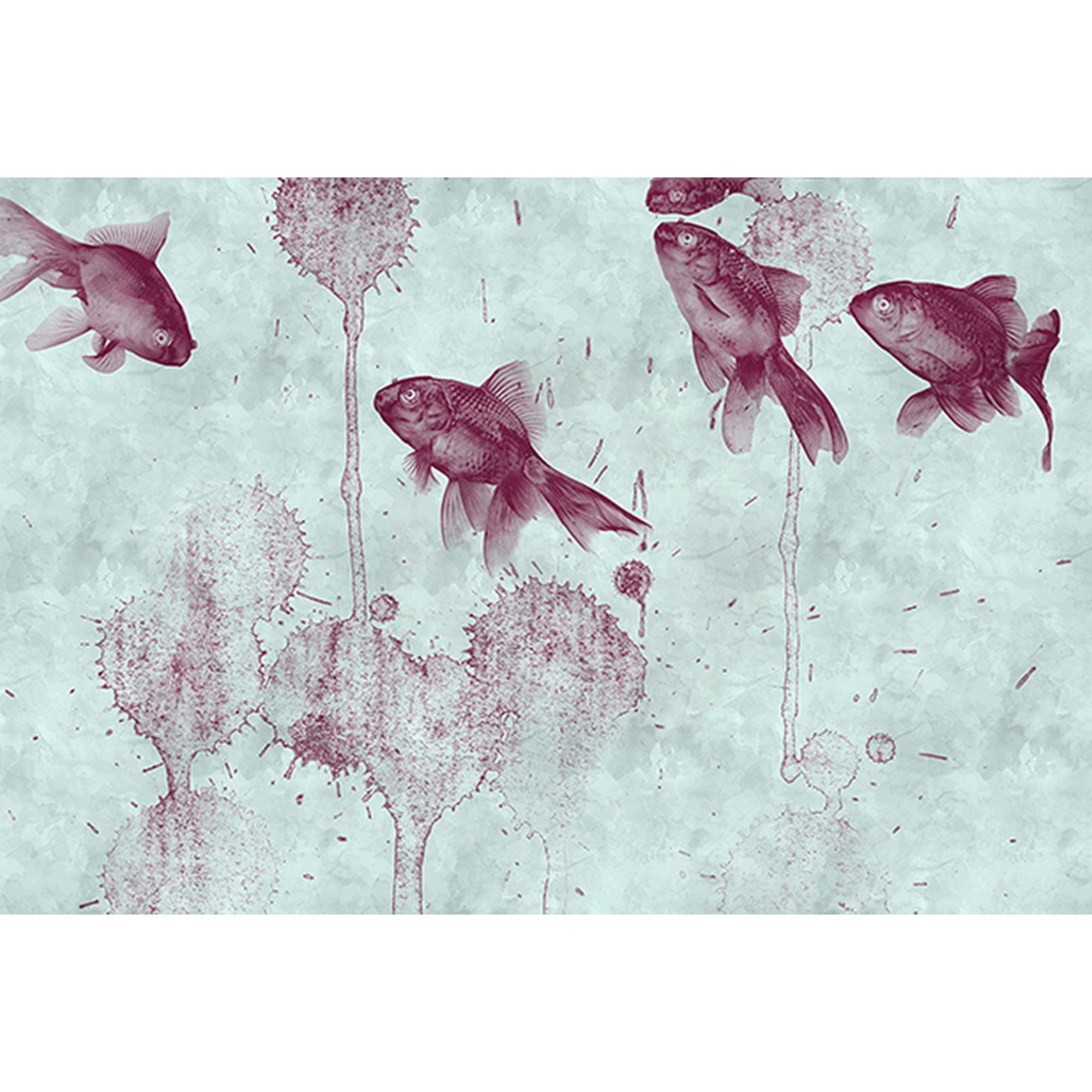 Fototapete Tiere M1-No.60667 | Digitaldruck | Rot | Blau | Fische