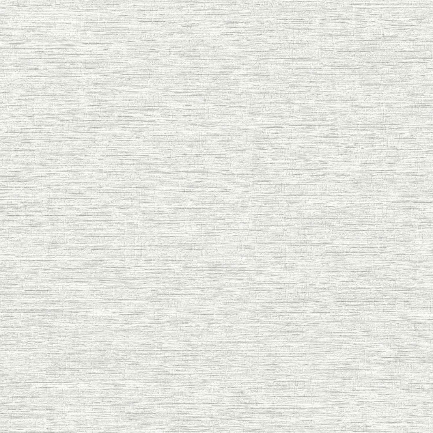 Tapete Uni Einfarbig M1-No.11133 Vlies Grau Tadessi 10.05 m x 0.53 m