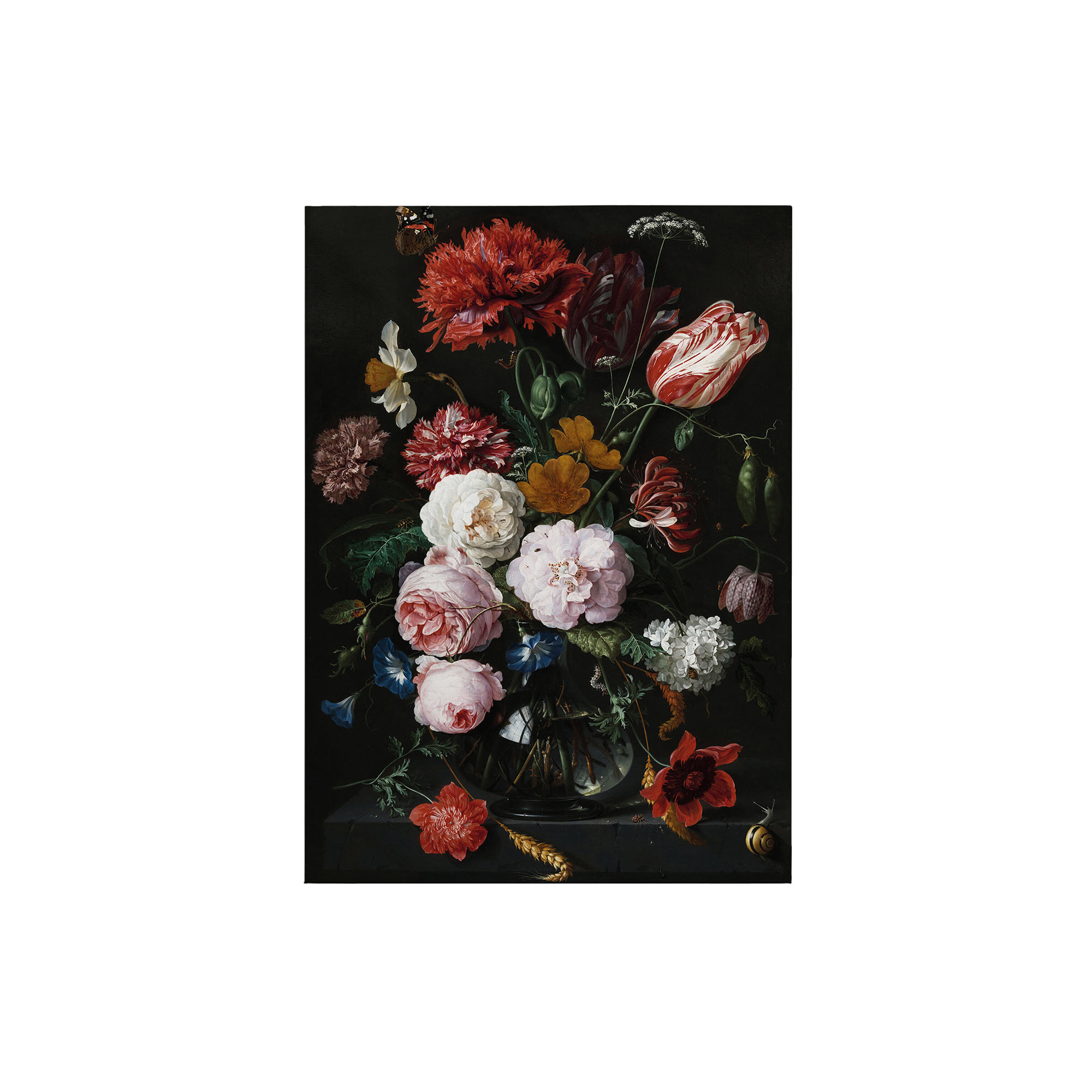 Leinwandbild Blumen Floral M1-No.50393 | Wandbild 70 x 50 cm | Bunt Schwarz Keilrahmen Natur