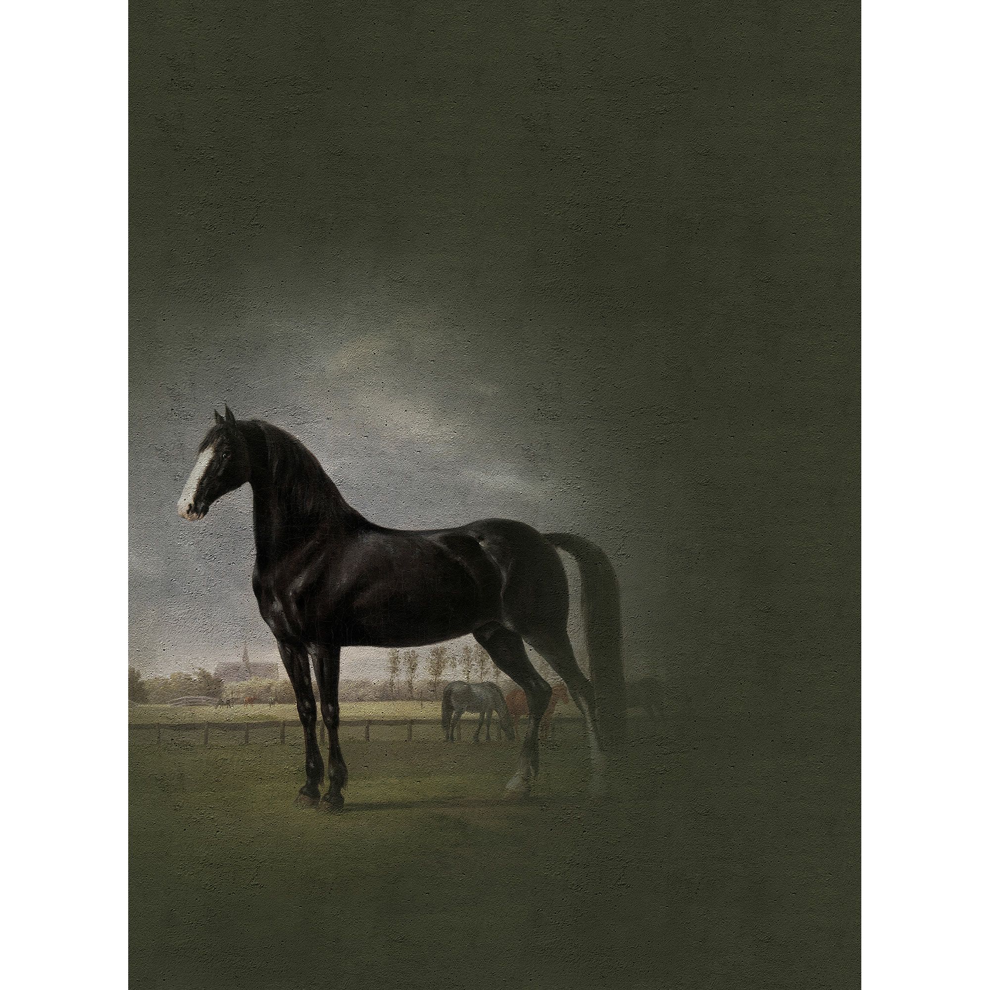 Fototapete Gemälde M1-No.60587 | Digitaldruck | Schwarz | Weiß | Vintage | Pferd
