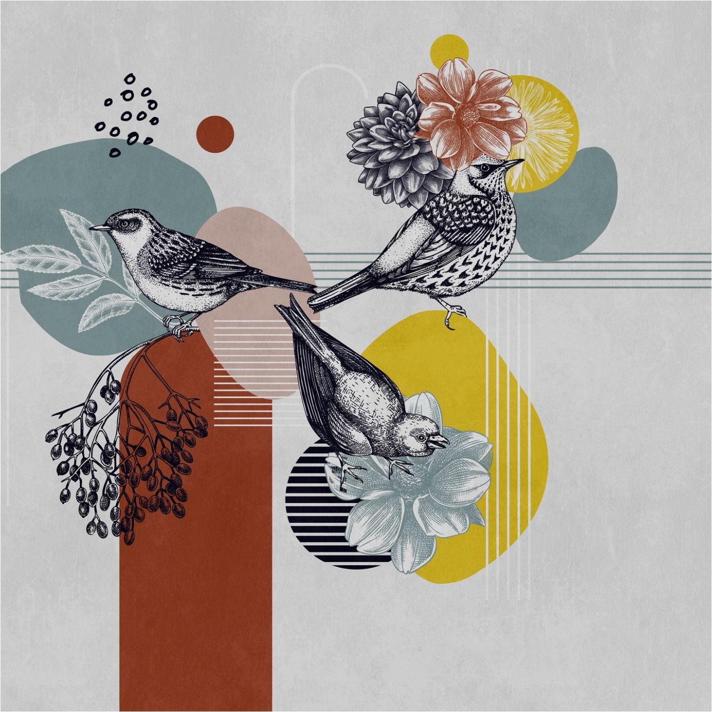 Tadessi Fototapete Formen M1-No.11790 Digitaldruck Tapete Bunt Grau - Vögel Wohnzimmer Schlafzimmer