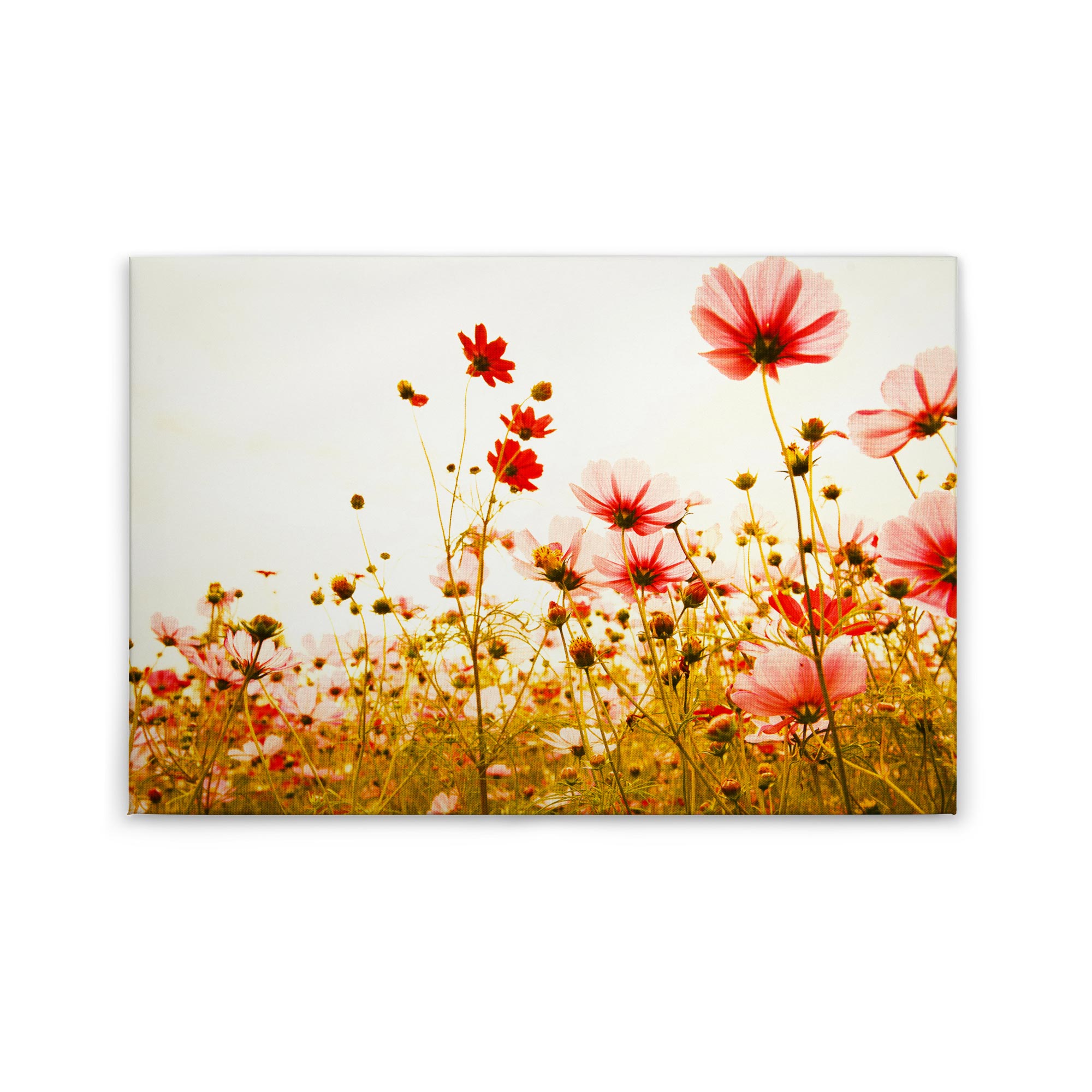 Leinwandbild Blumen M1-No.50036 | Wandbild 60 x 90 cm | Rot Grün Keilrahmen Floral Natur