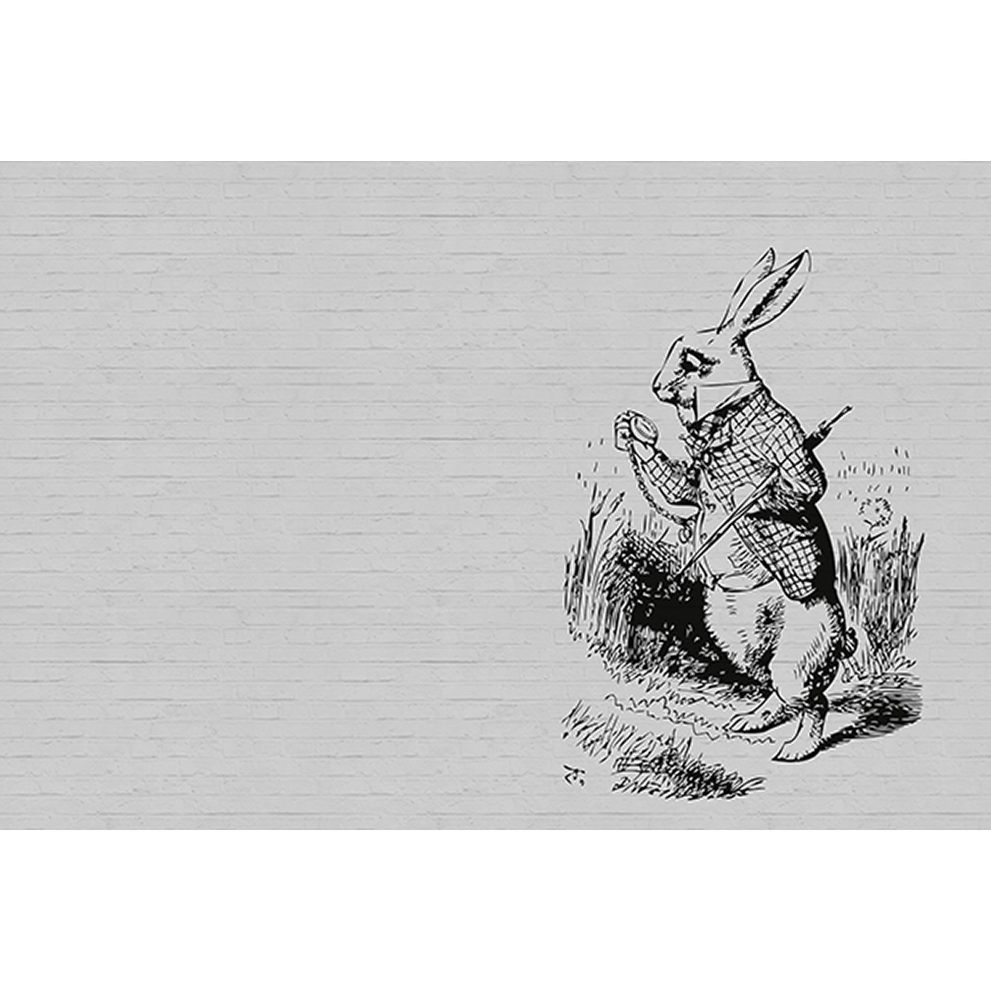 Fototapete Tiere M1-No.60549 | Digitaldruck | Grau | Schwarz | Steinoptik