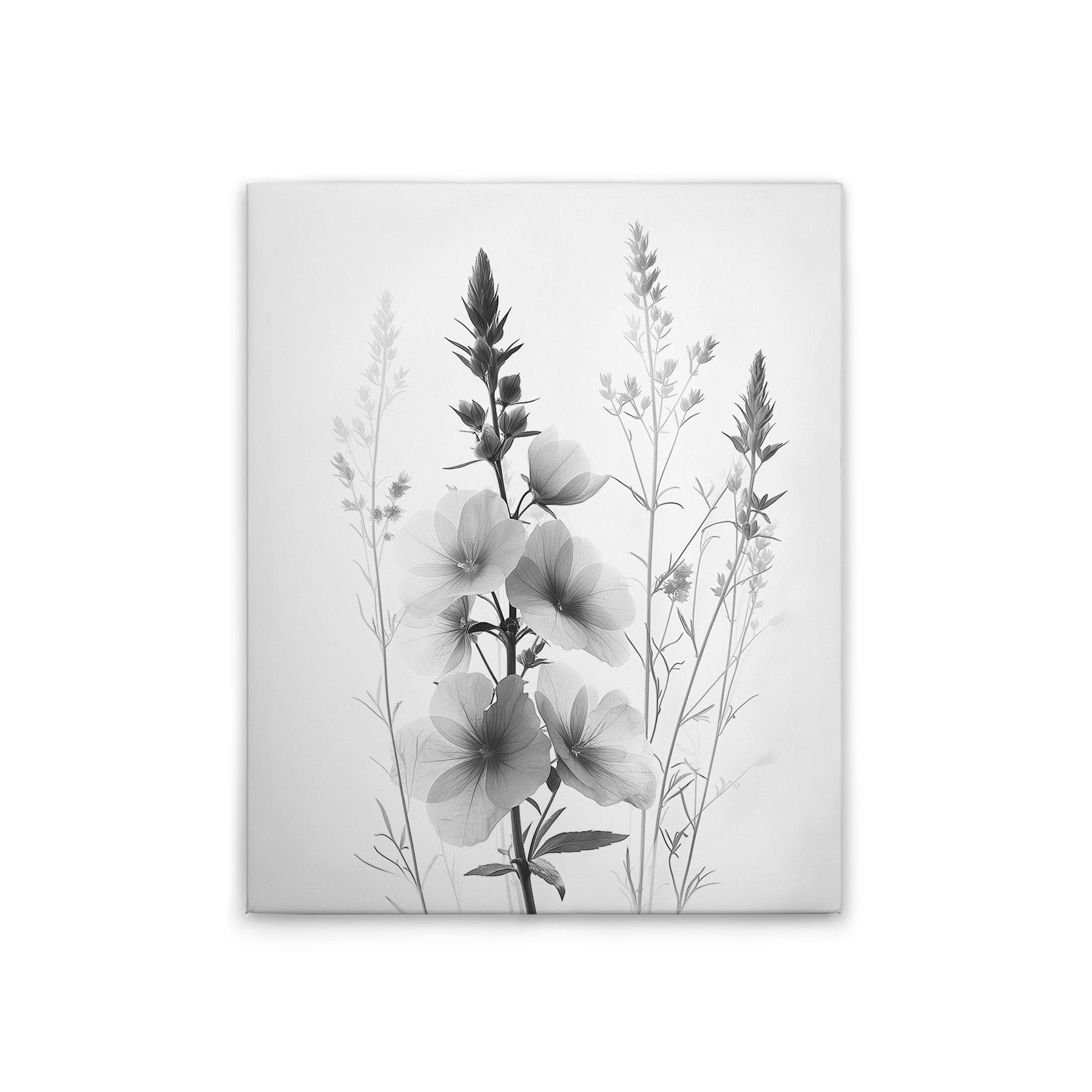 Tadessi Leinwandbild Blumen Vintage SW - 40 x 50 cm - M1-No.51793 - Keilrahmen in Schwarz Grau