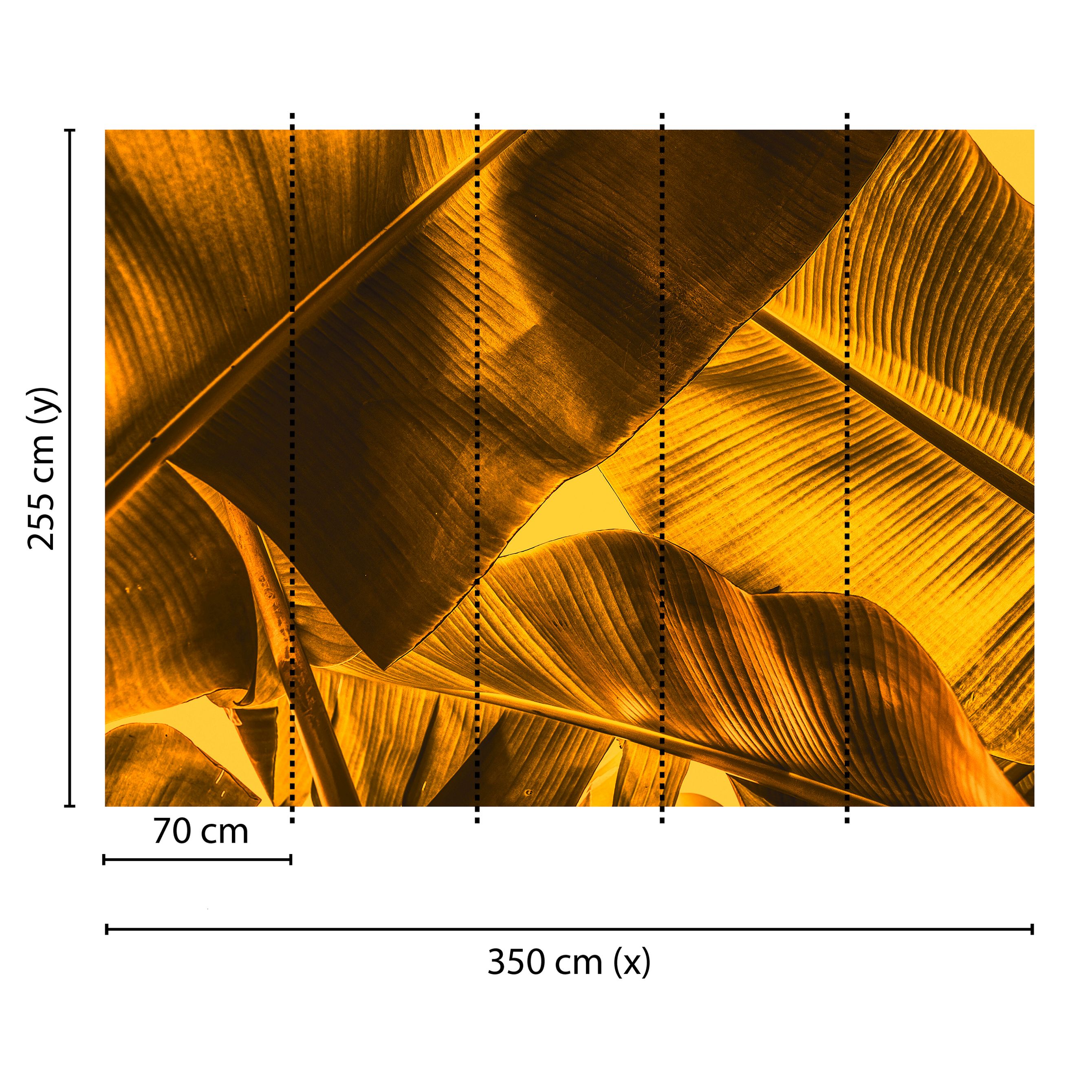 Tadessi Fototapete Natur M1-No.60380 Digitaldruck Tapete Orange Gelb - Palmen Dschungel