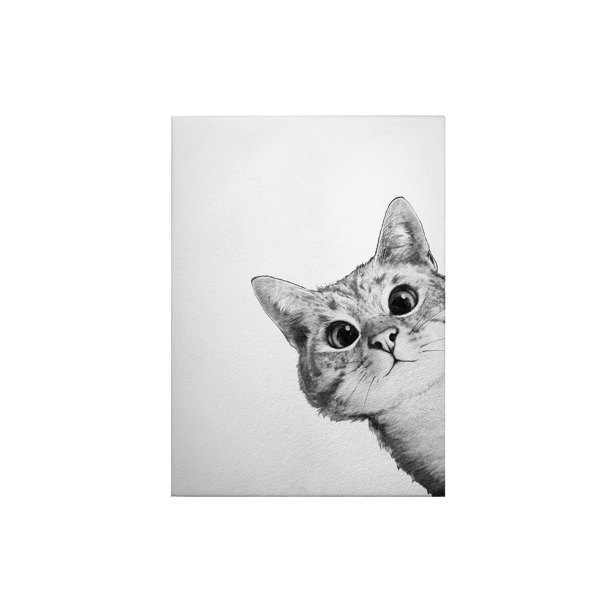 Leinwandbild Tiere M1-No.50417 | Wandbild 70 x 50 cm | Weiß Schwarz Keilrahmen Katze