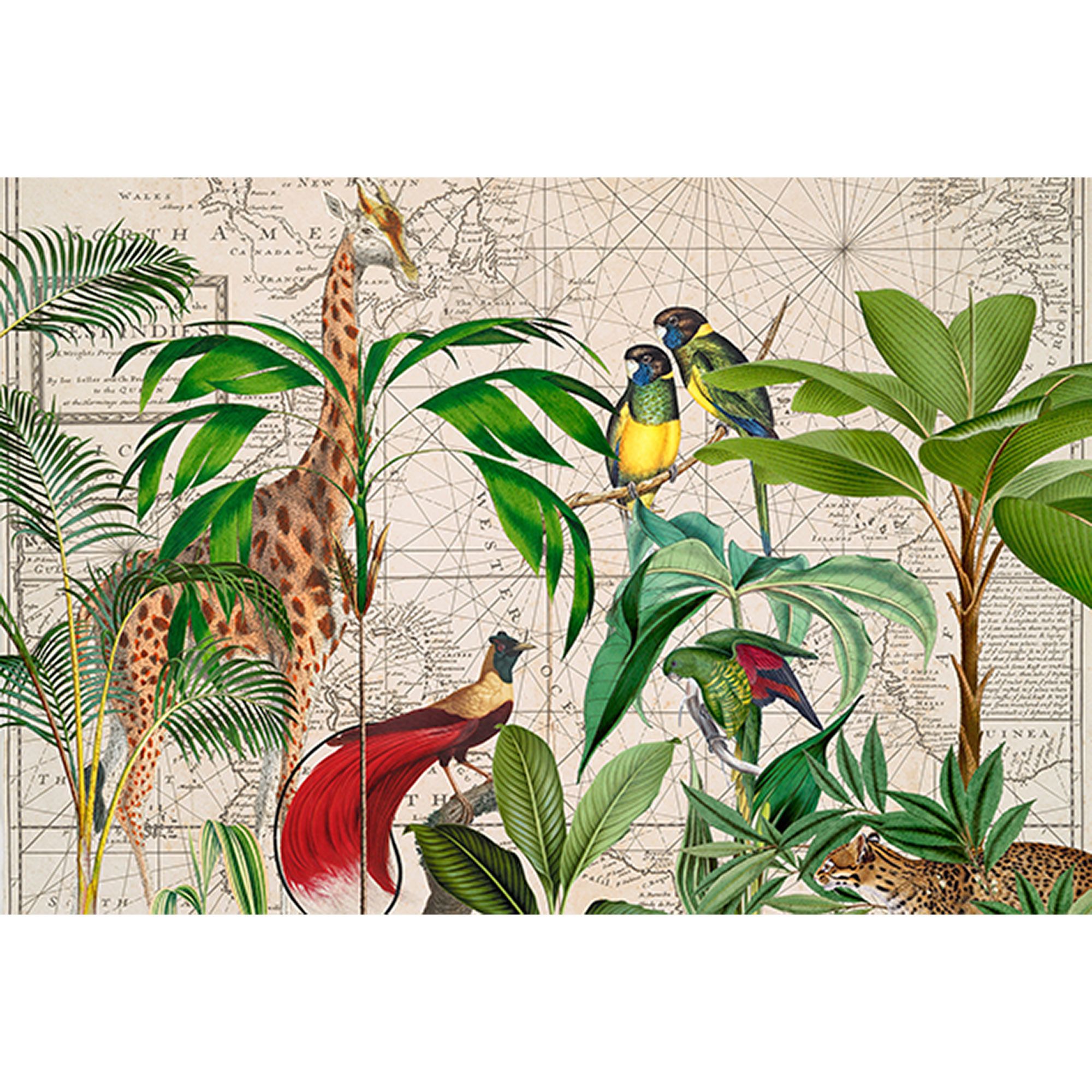 Tadessi Fototapete Dschungel M1-No.61006 Digitaldruck Tapete Bunt Grün - Tiere Palmen