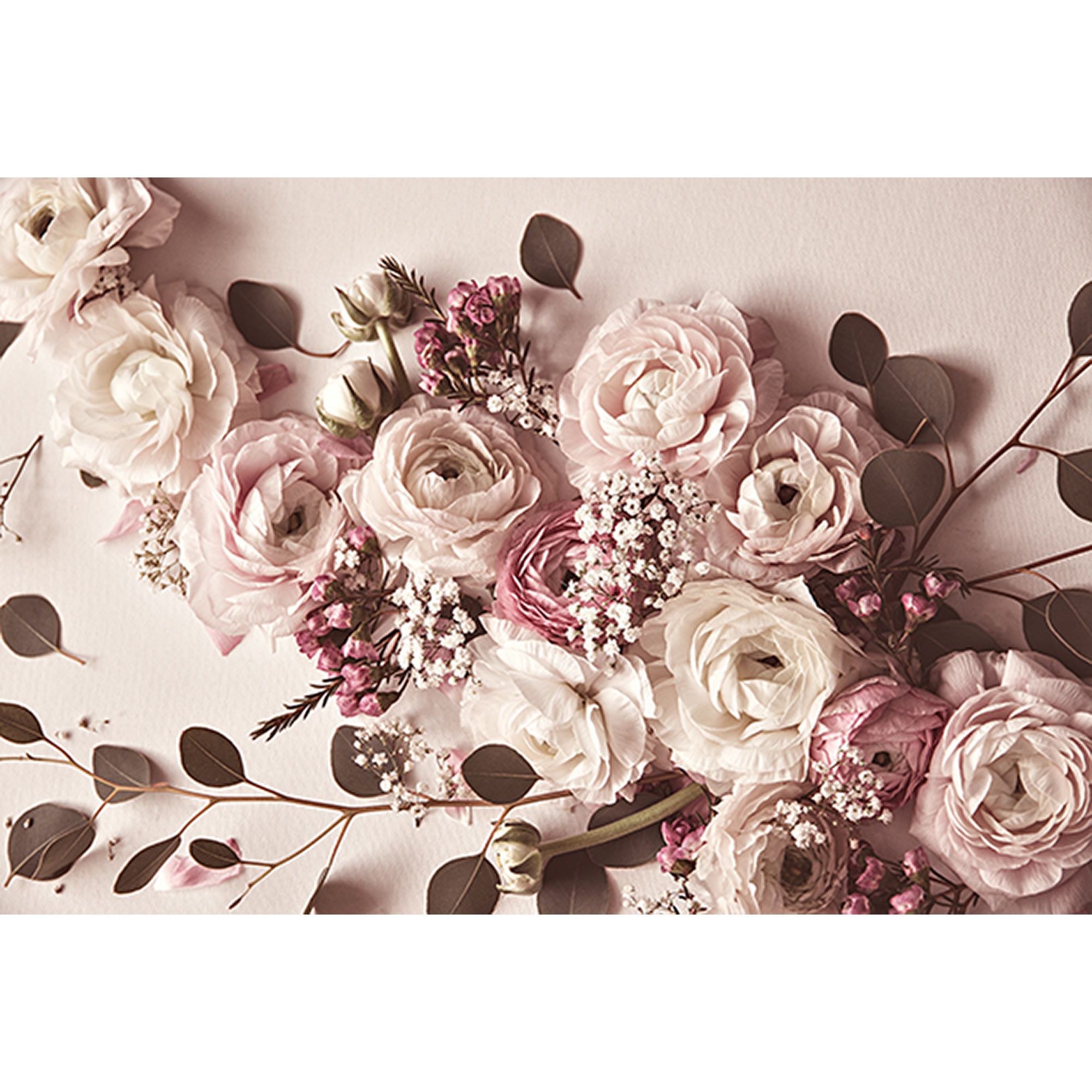 Fototapete Rosen M1-No.61041 | Digitaldruck | Rosa | Weiß | Blumen | Natur