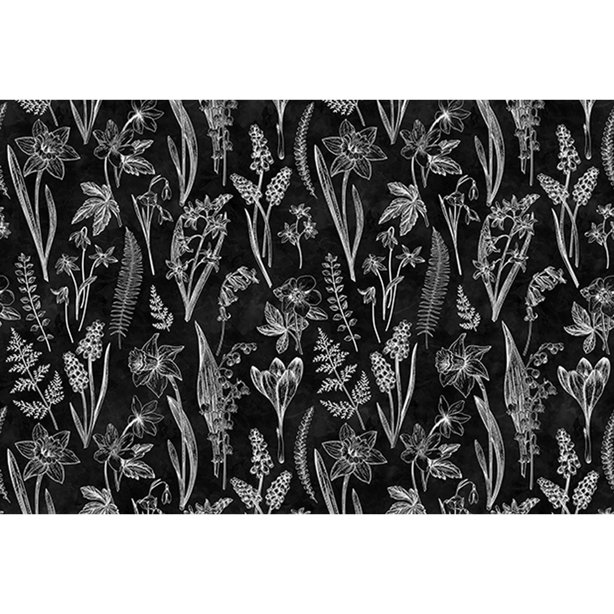 Fototapete Blumen M1-No.60523 | Digitaldruck | Weiß | Schwarz | Schwarz-Weiß | Blumenwiese