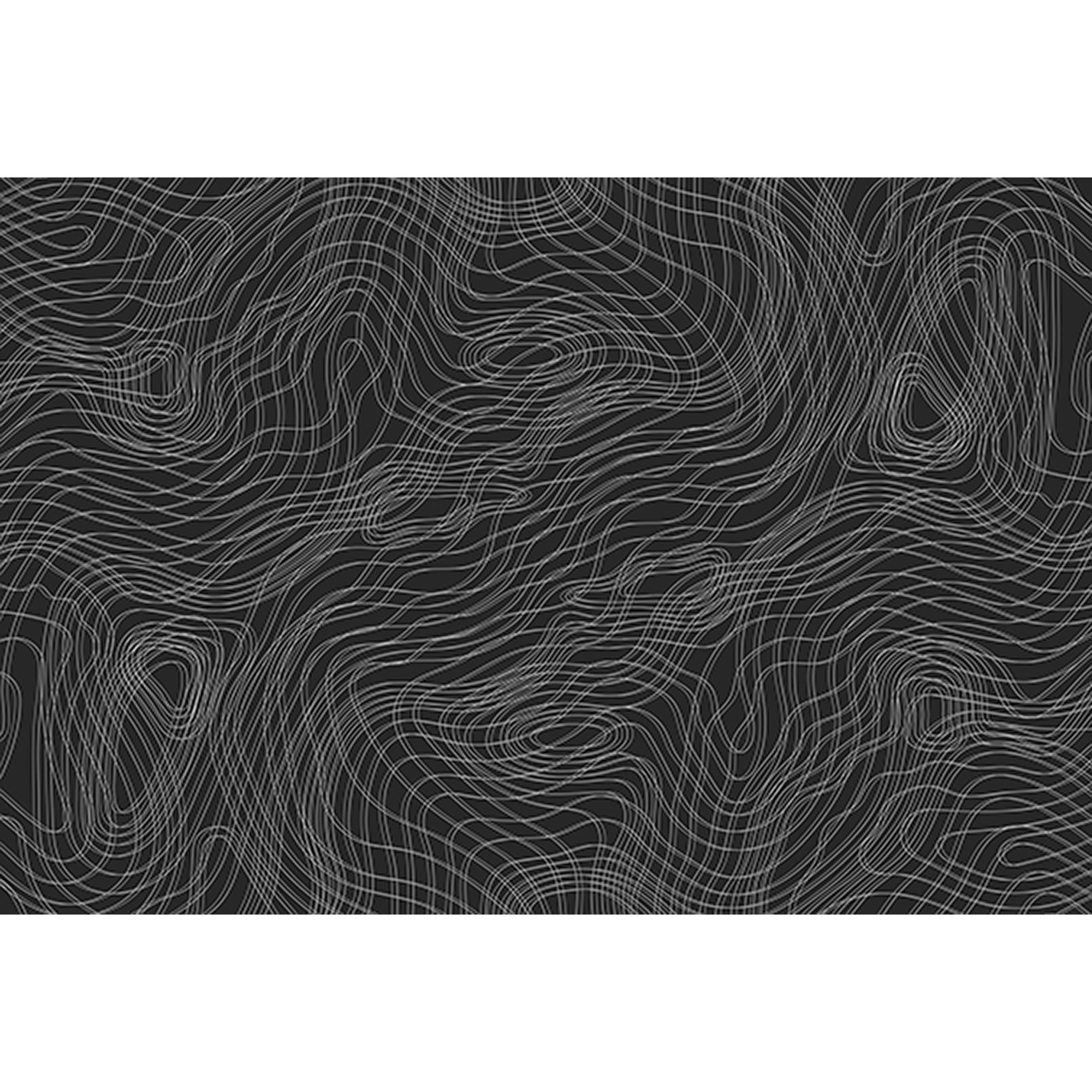 Tadessi Fototapete Grafik M1-No.60055 Digitaldruck Tapete Schwarz Weiß