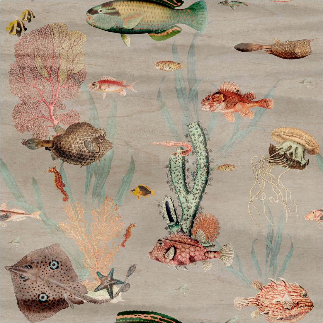 Fototapete Fische M1-No.11752 | Vliestapete Tiertapete | Bunt | Grau | Unterwasserwelt | Wohnzimmer