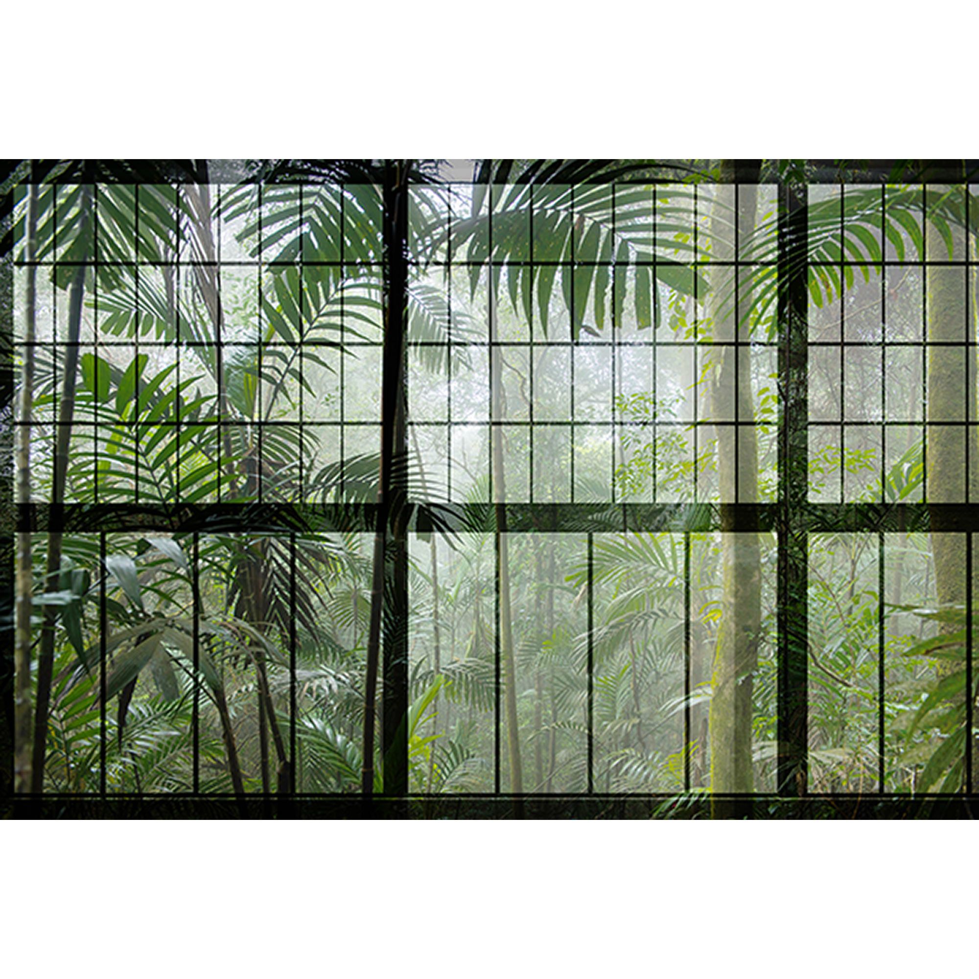Fototapete Fenster M1-No.60913 | Digitaldruck | Grün | Schwarz | Dschungel