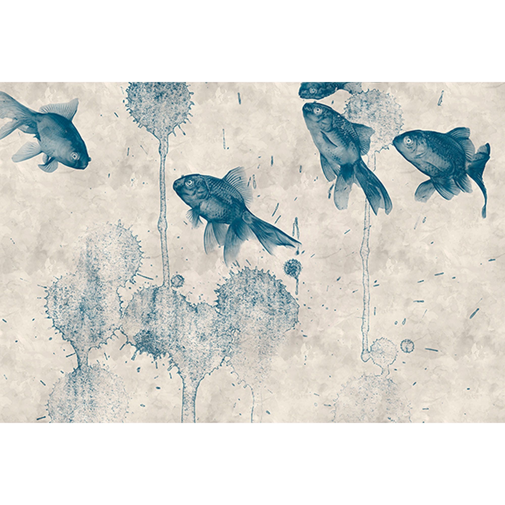 Fototapete Tiere M1-No.60666 | Digitaldruck | Blau | Grau | Fische