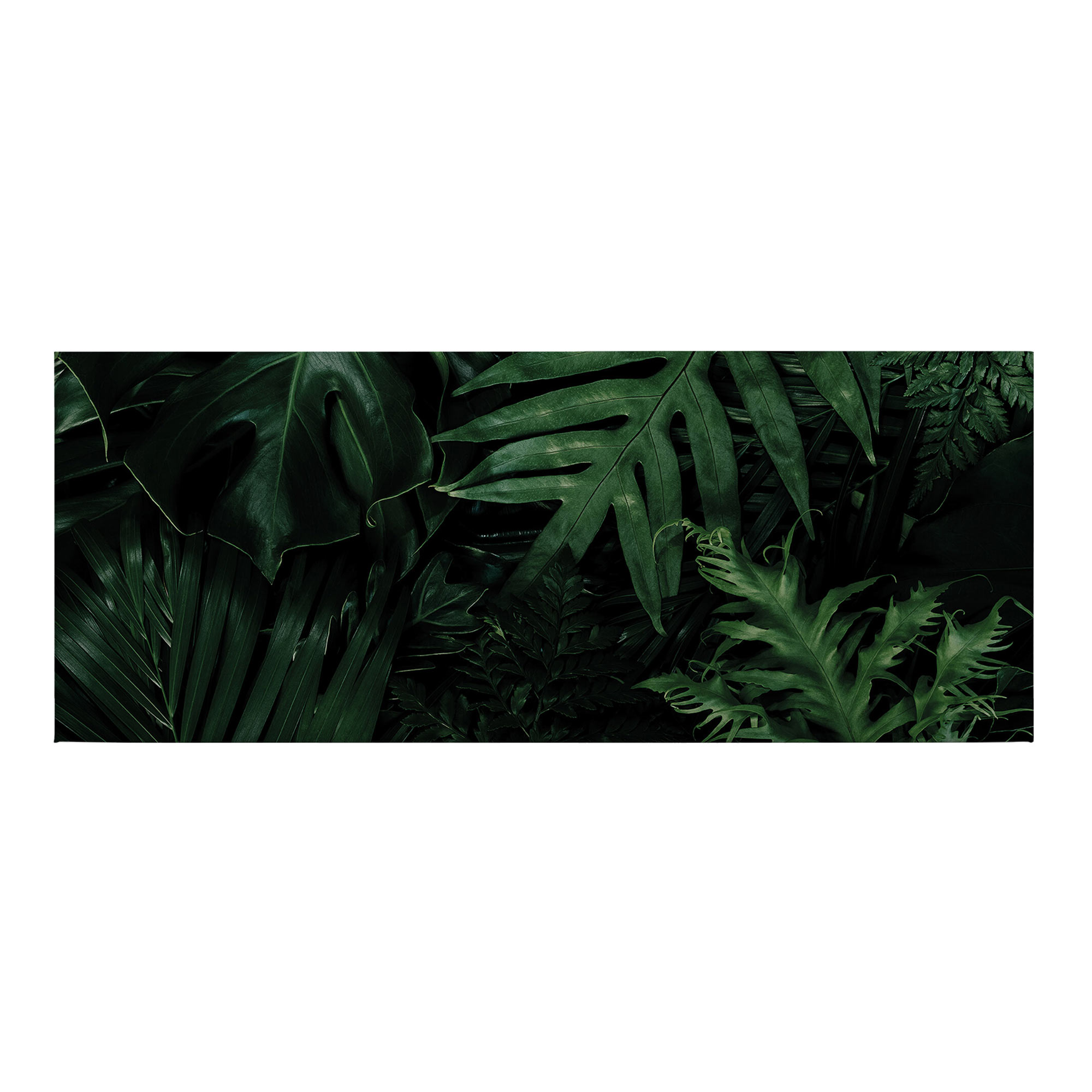 Leinwandbild Botanical Jungle M1-No.50467 | Wandbild 40 x 100 cm | Grün Schwarz Keilrahmen Pflanzen