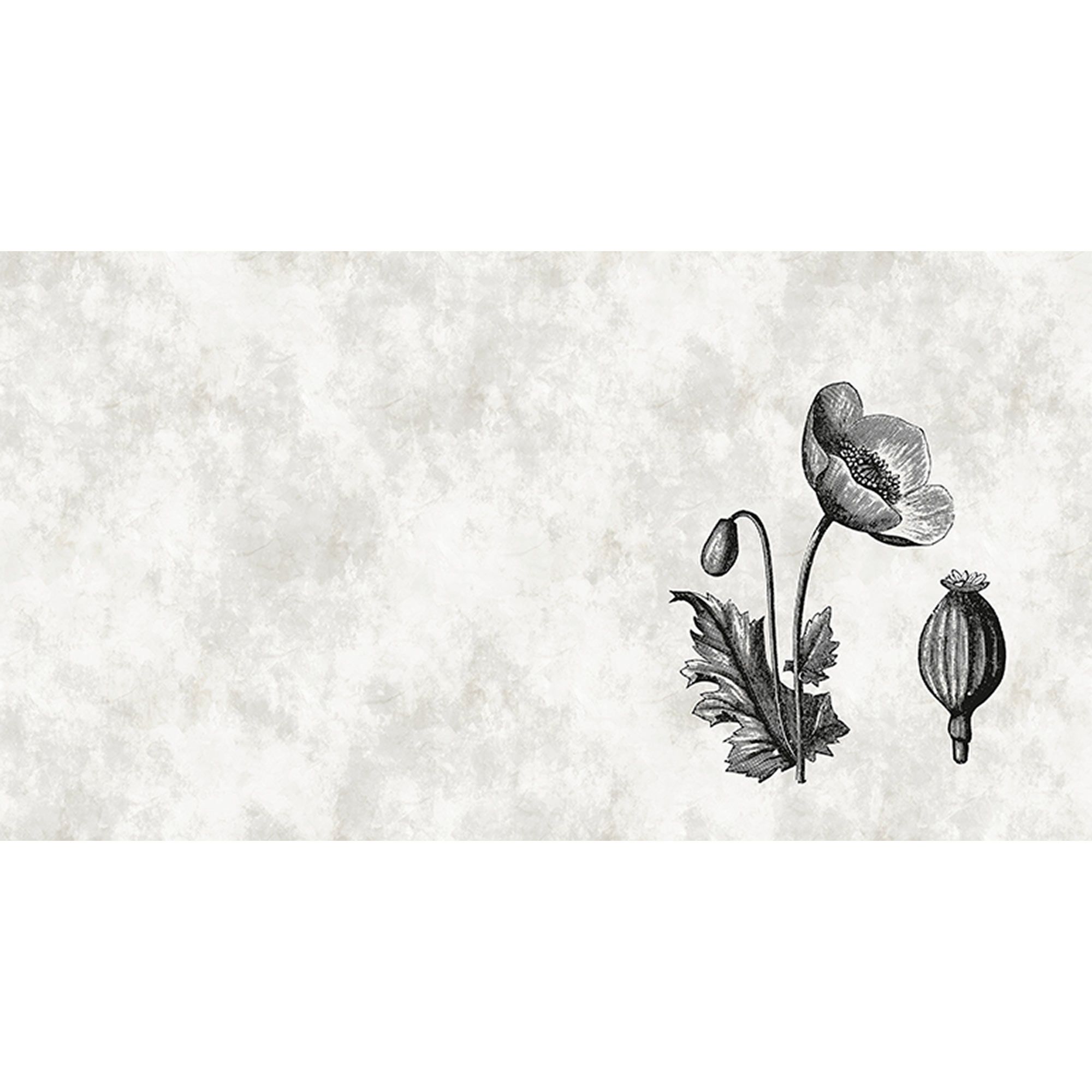 Fototapete Blumen M1-No.60685 | Digitaldruck | Weiß | Schwarz