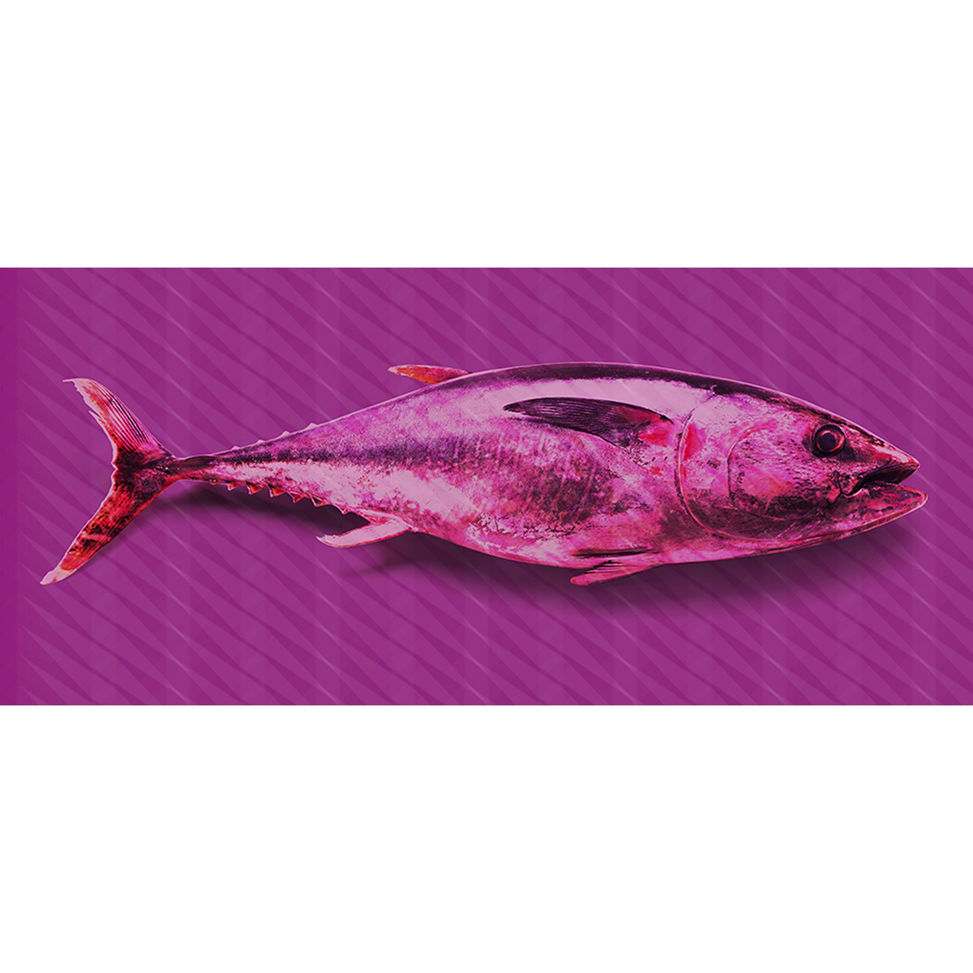 Tadessi Fototapete Tiere M1-No.60323 Digitaldruck Tapete Lila Rosa - Unterwasser