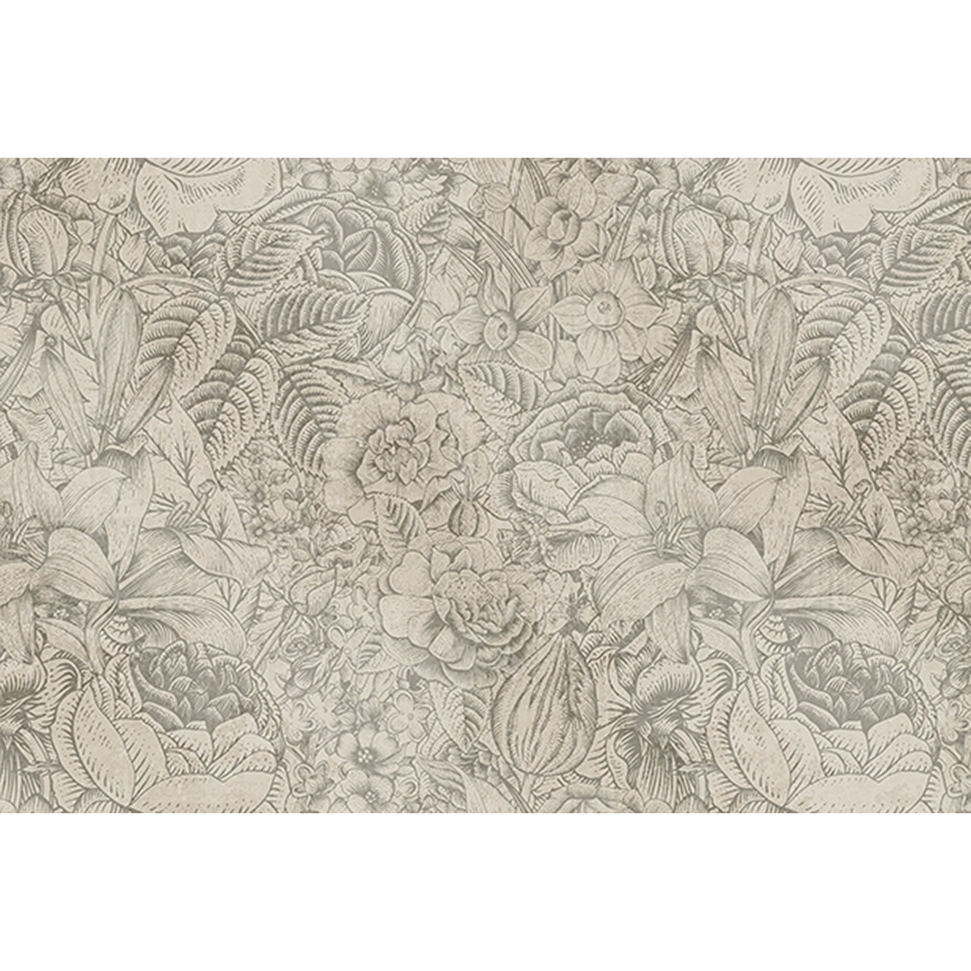 Fototapete Blumen M1-No.60536 | Digitaldruck | Grau | Floral | Pflanzen