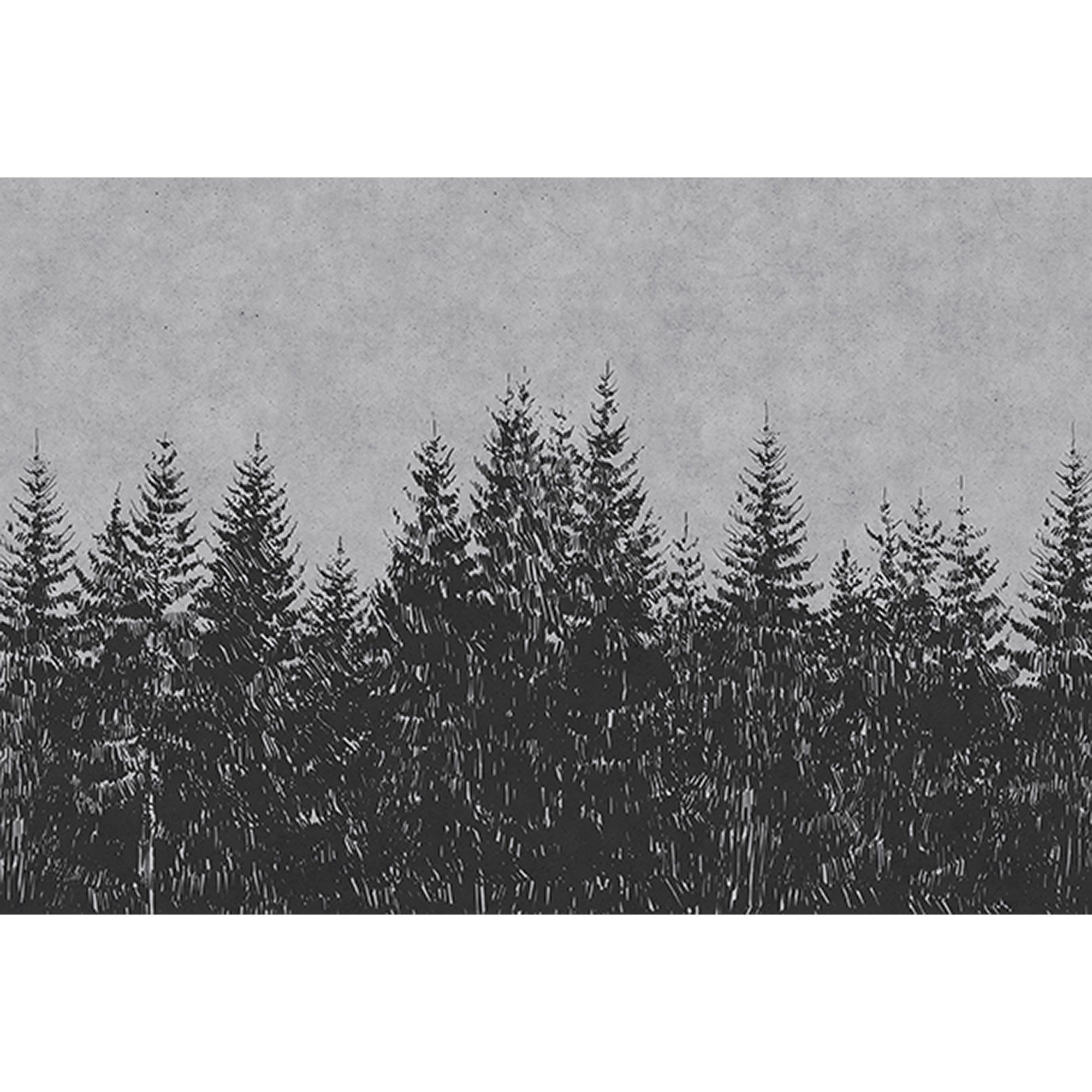 Fototapete Wald M1-No.60528 | Digitaldruck | Grau | Schwarz