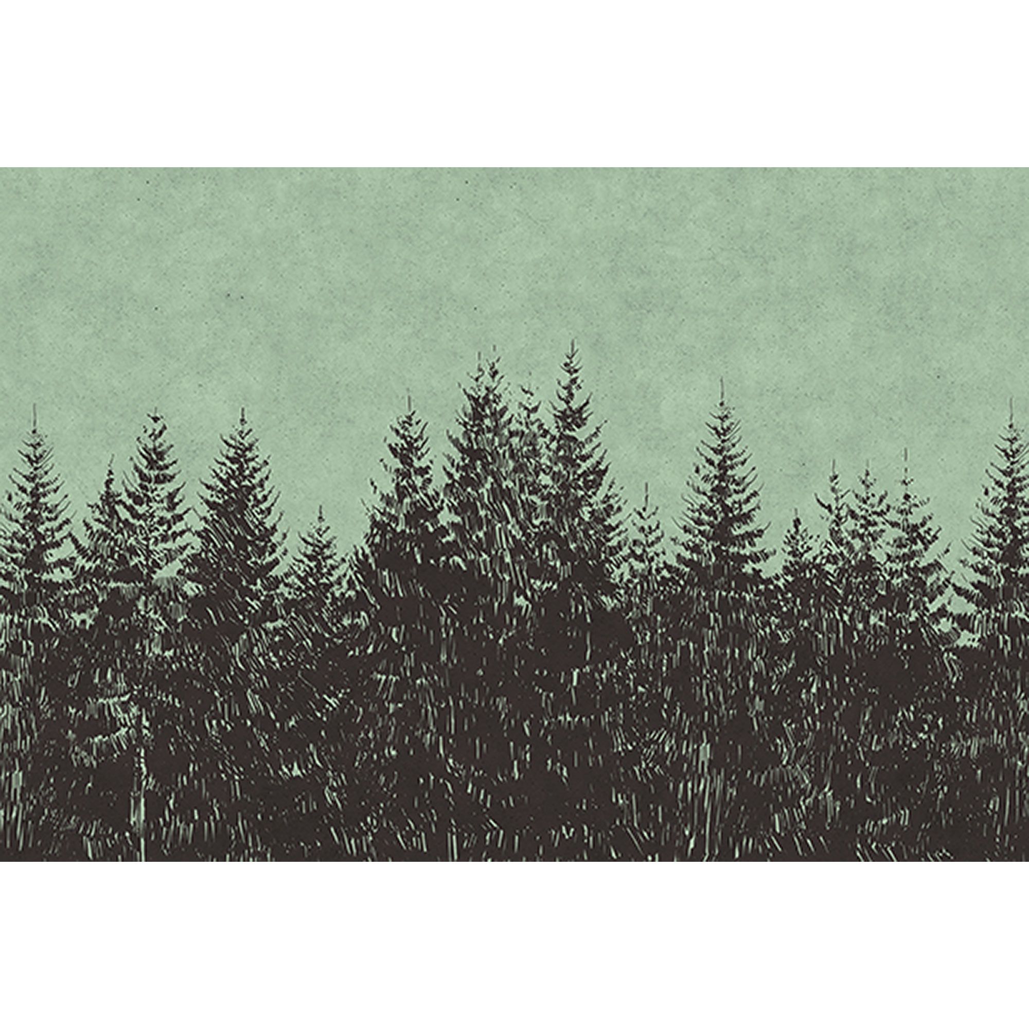 Fototapete Wald M1-No.60527 | Digitaldruck | Grün | Schwarz