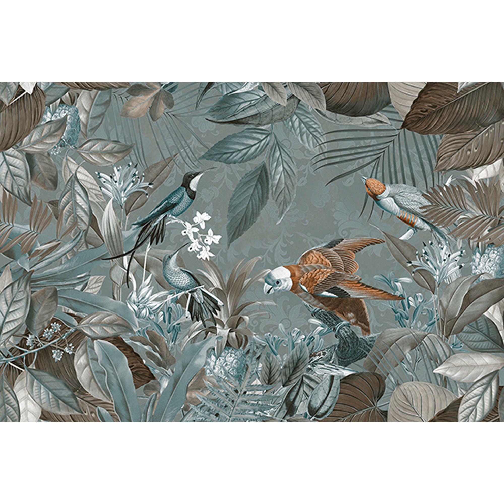 Fototapete Vögel M1-No.60995 | Digitaldruck | Braun | Blau | Dschungel | Natur