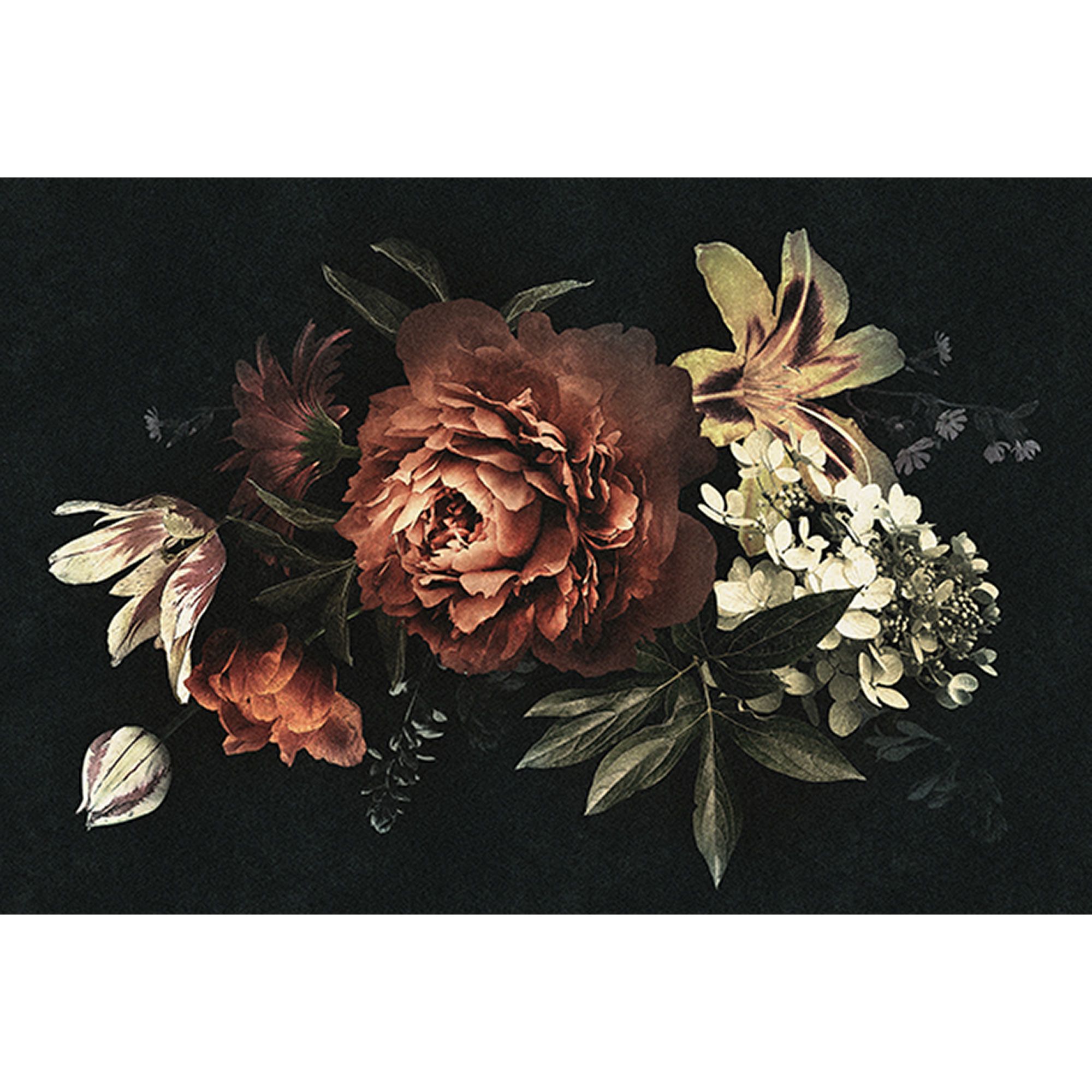 Fototapete Blumen M1-No.60794 | Digitaldruck | Rot | Schwarz | Rosen