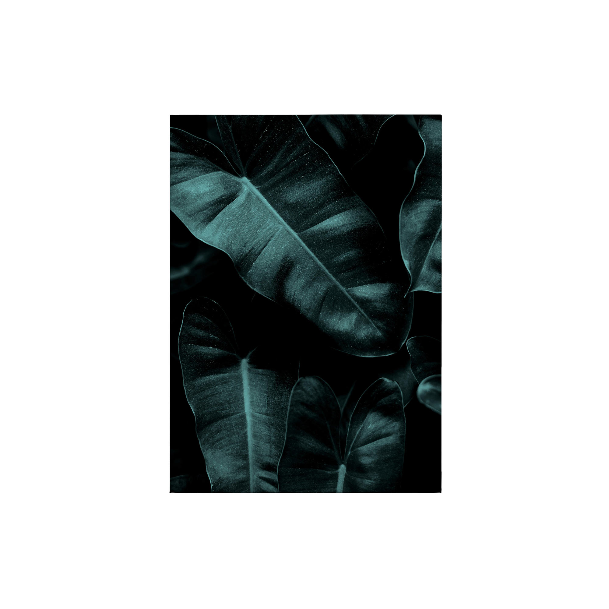 Tadessi Leinwandbild Natur - 70 x 50 cm - M1-No.50363 - Keilrahmen in Grün